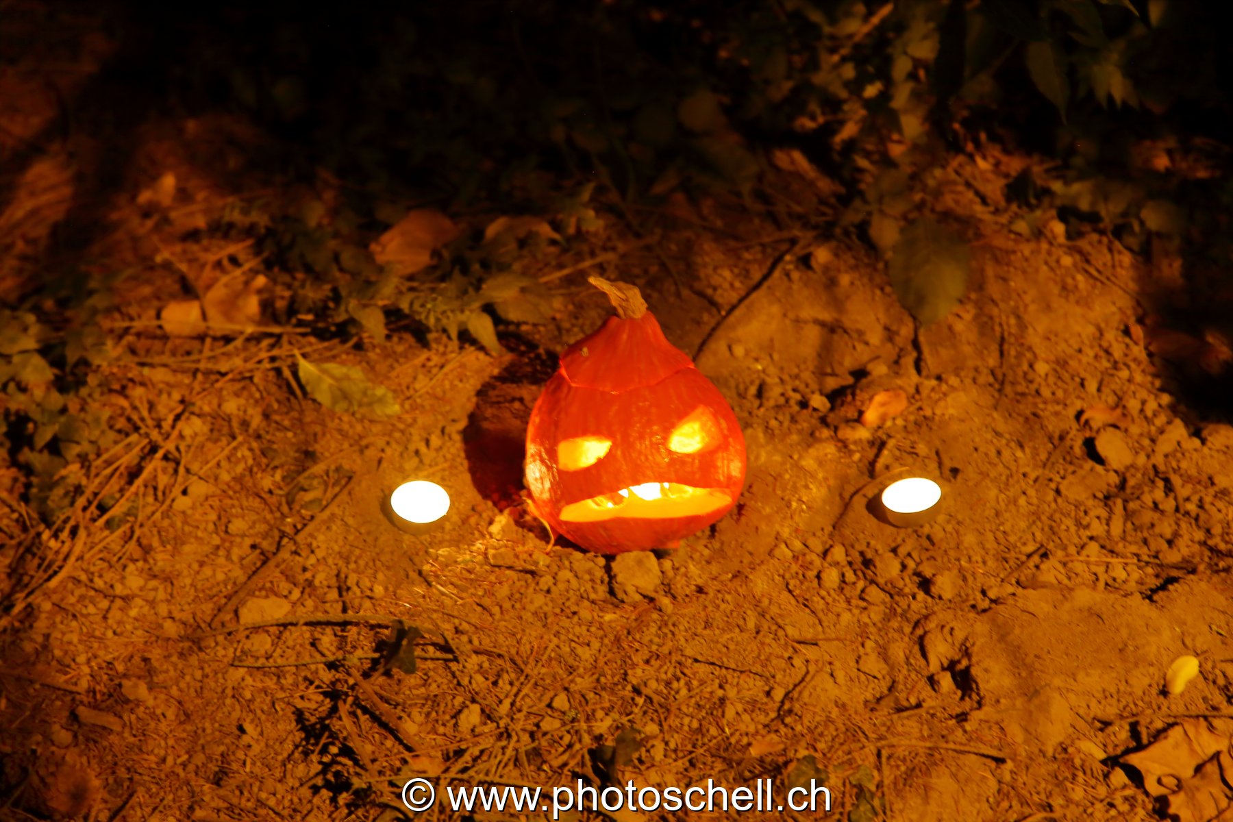 Courges d'halloween