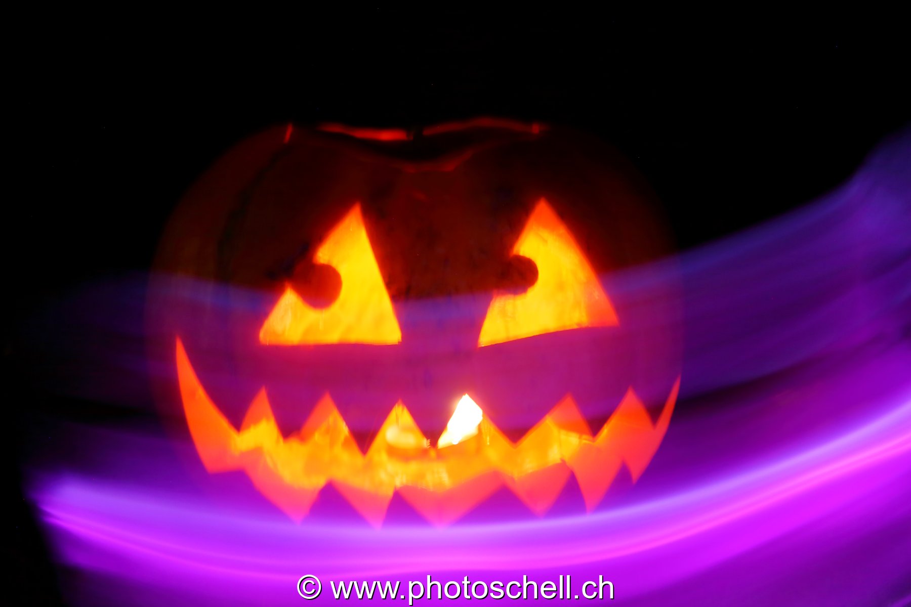 Courges d'halloween
