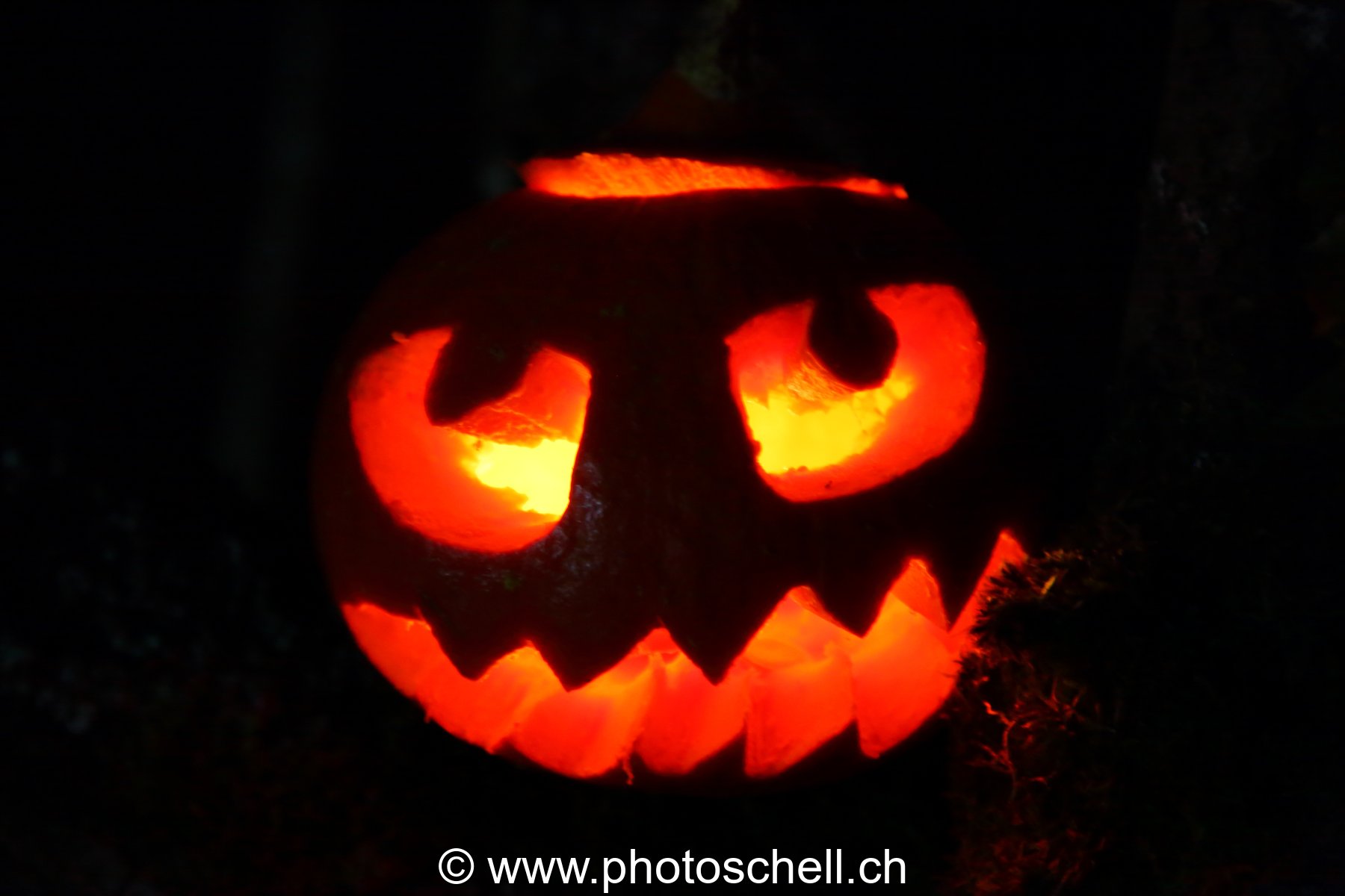 Courges d'halloween