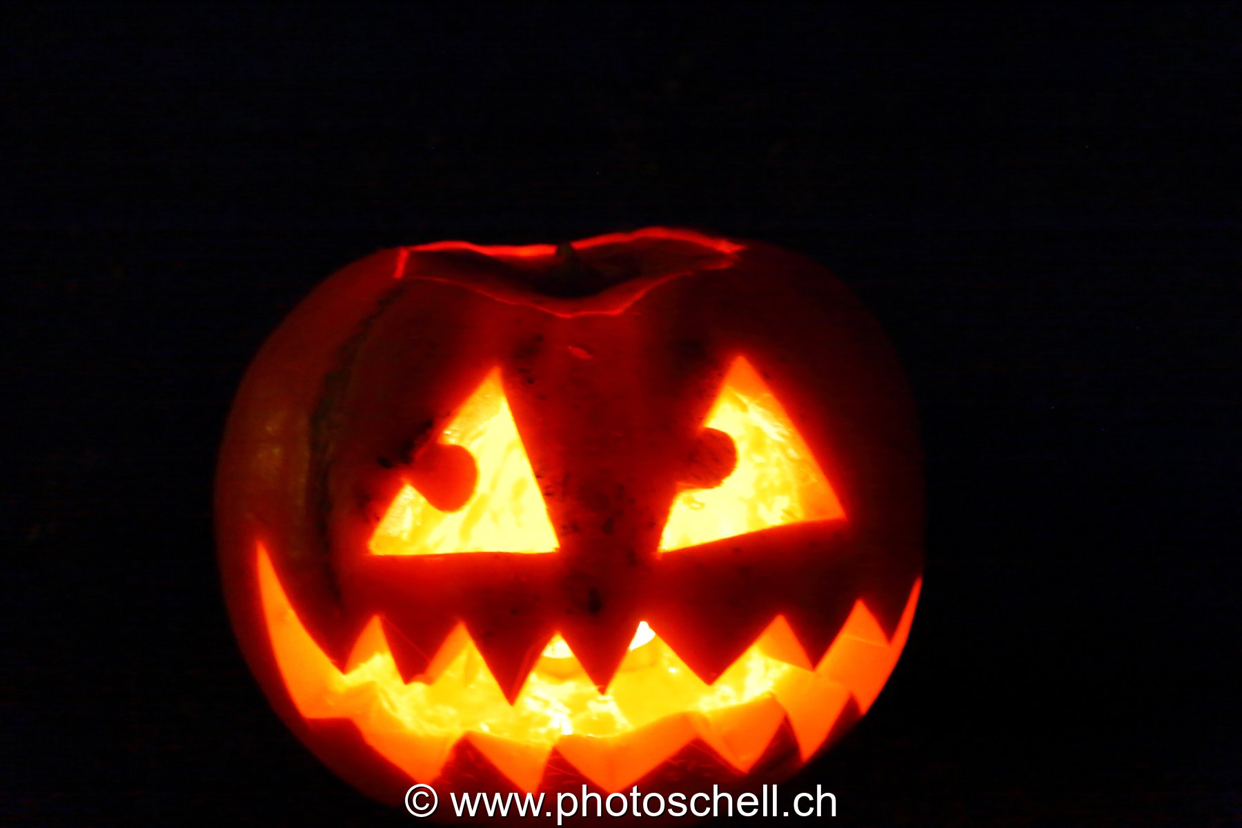 Courges d'halloween