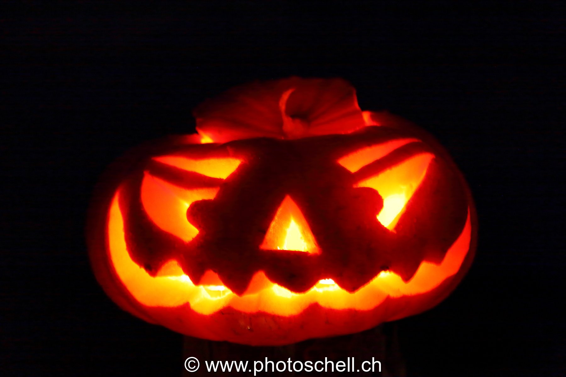 Courges d'halloween