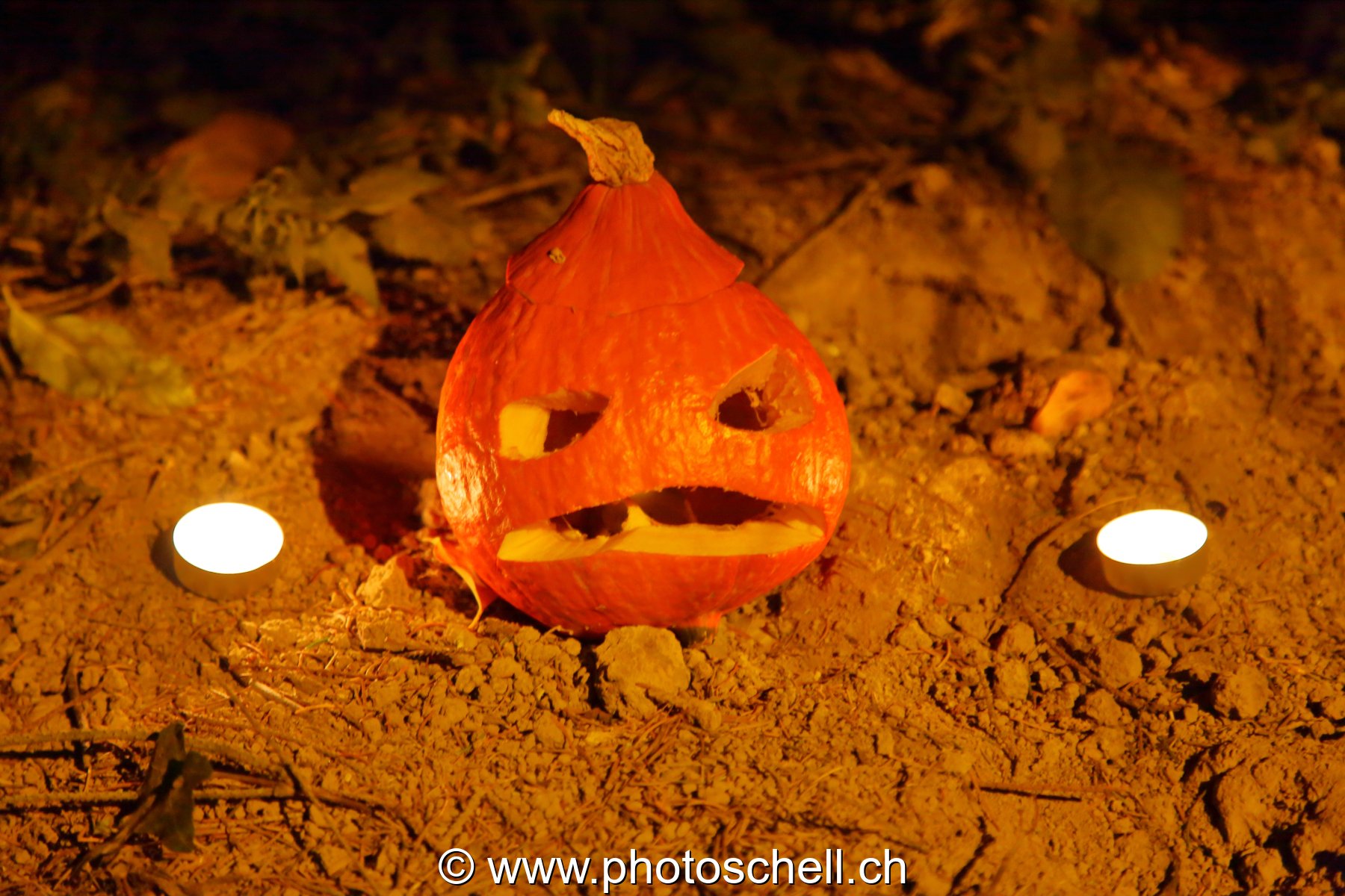 Courges d'halloween