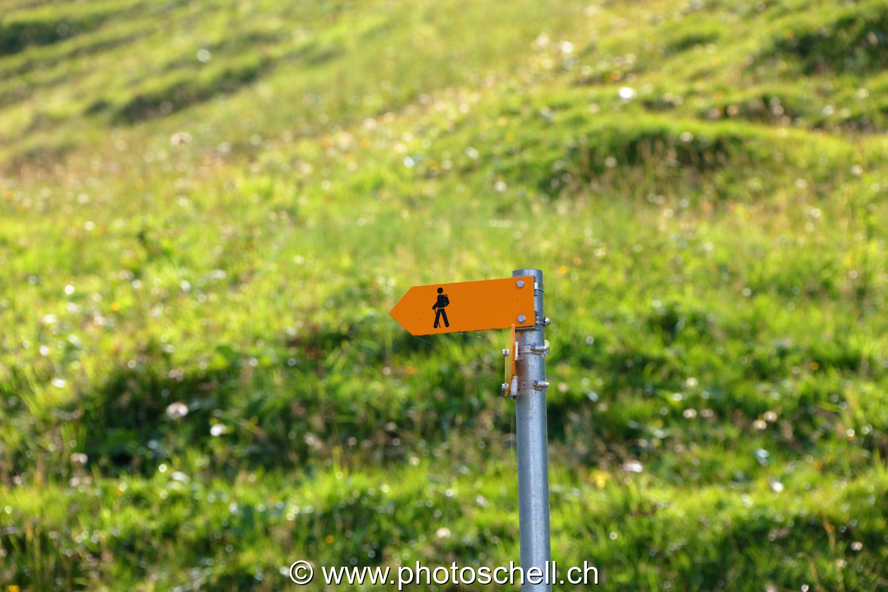 Sentier pédestre