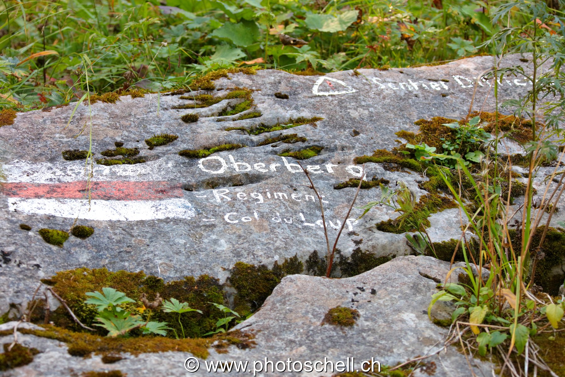 Marque de chemin balisé
