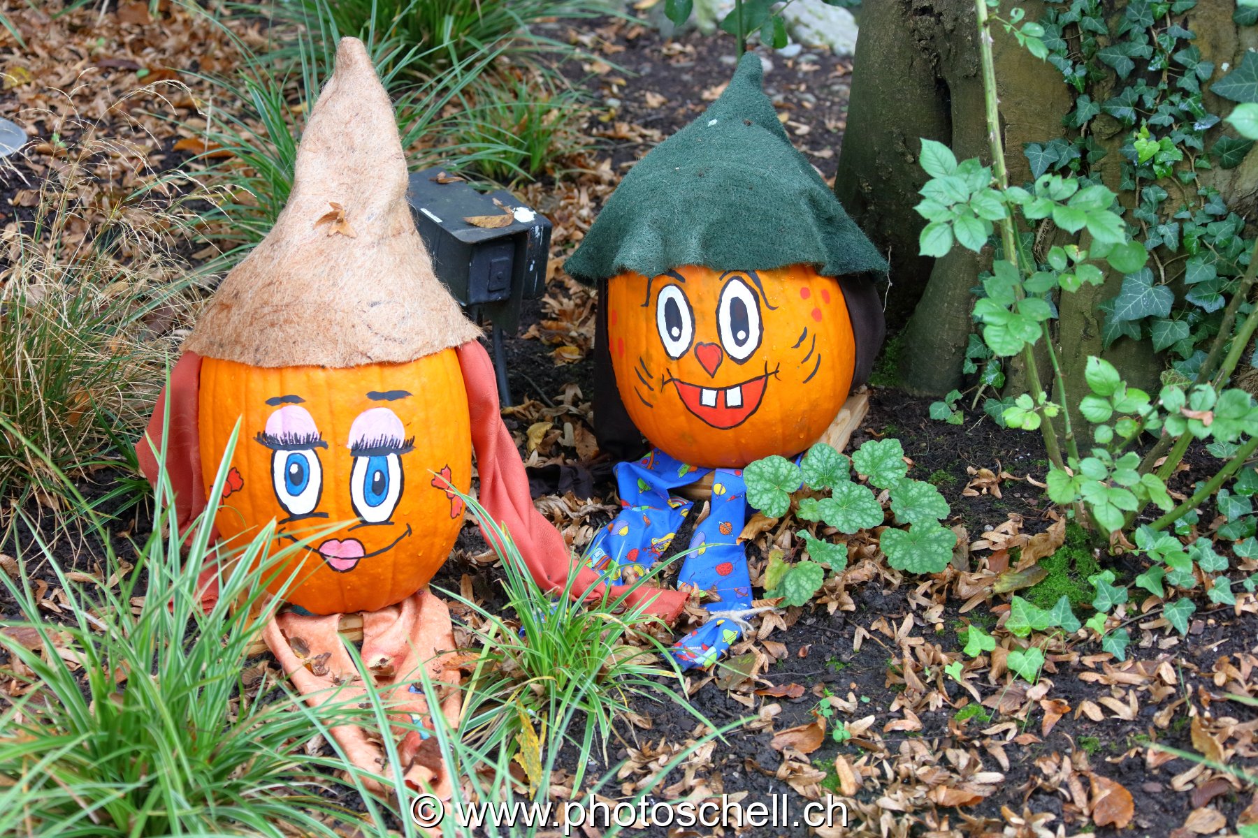 Courges d'halloween peintes et habillées