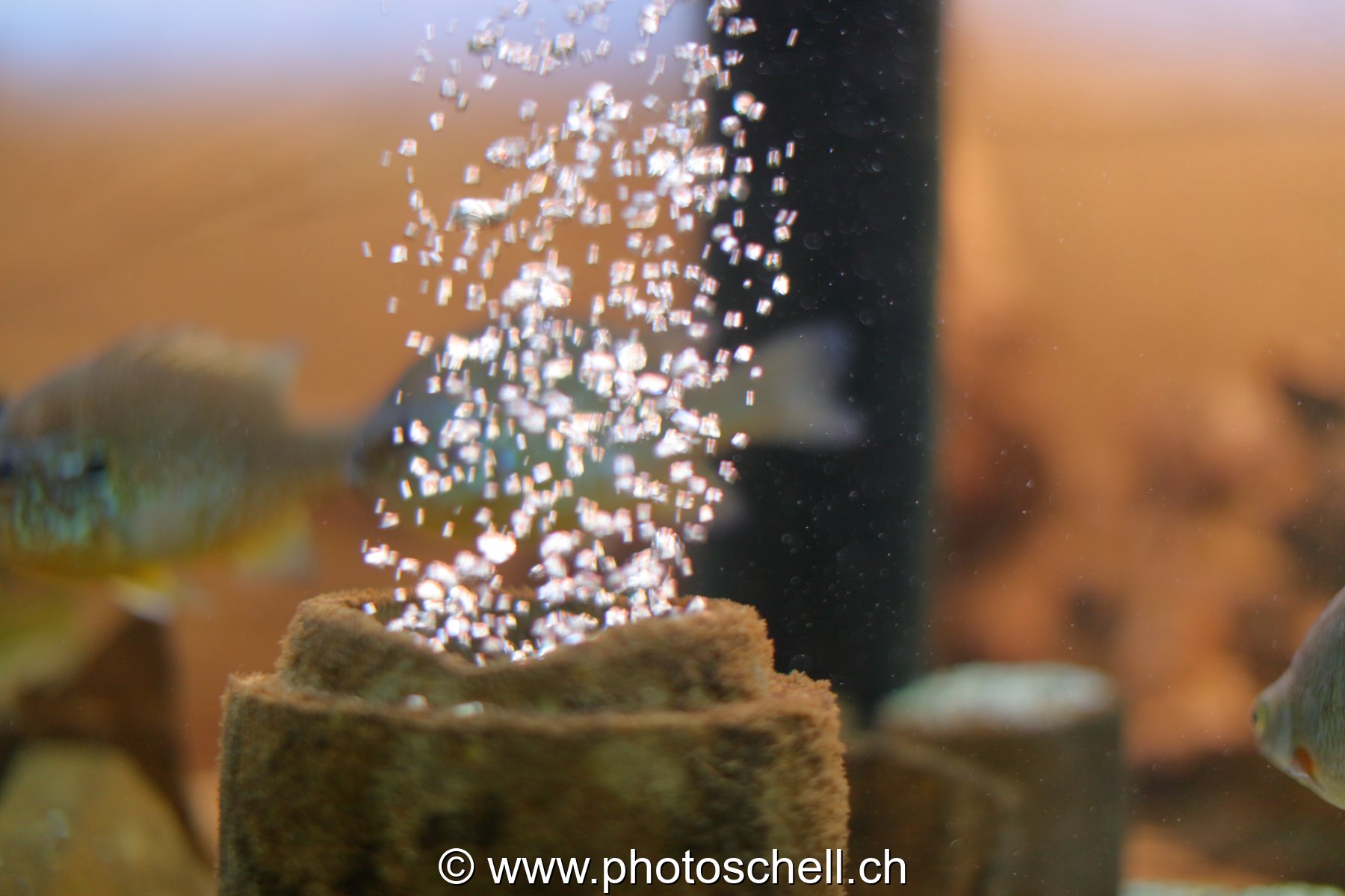 Bulles d'air