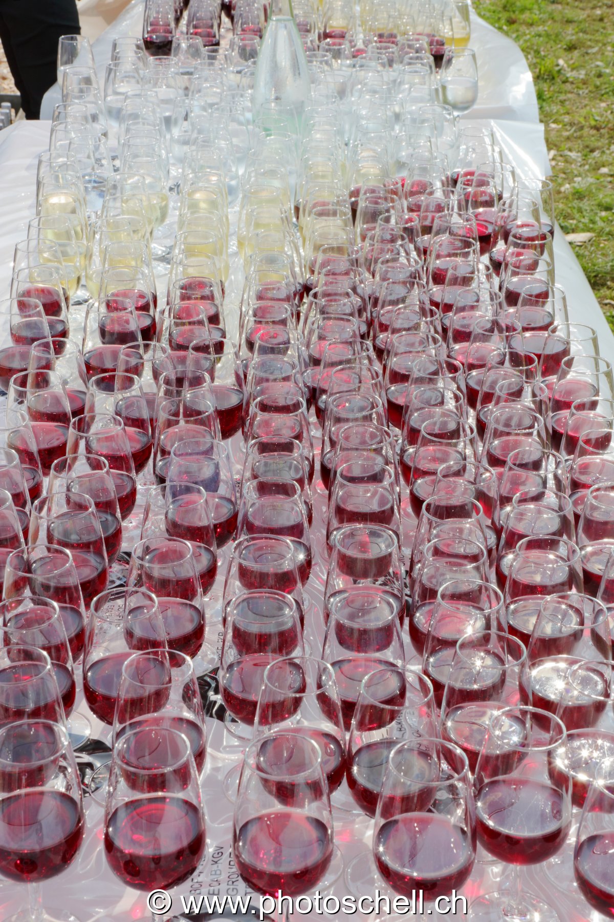 Alignement de verres