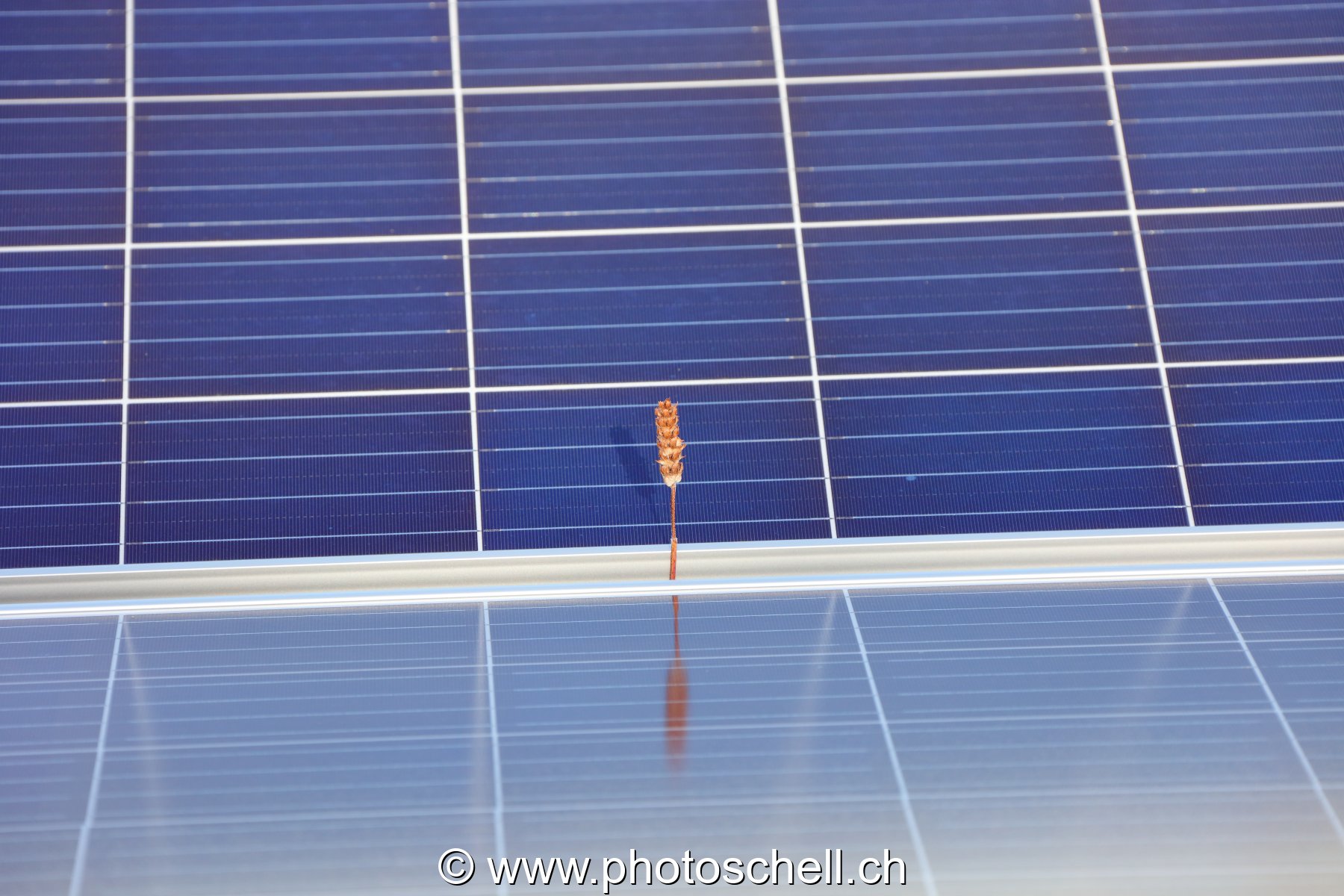 Panneaux solaires