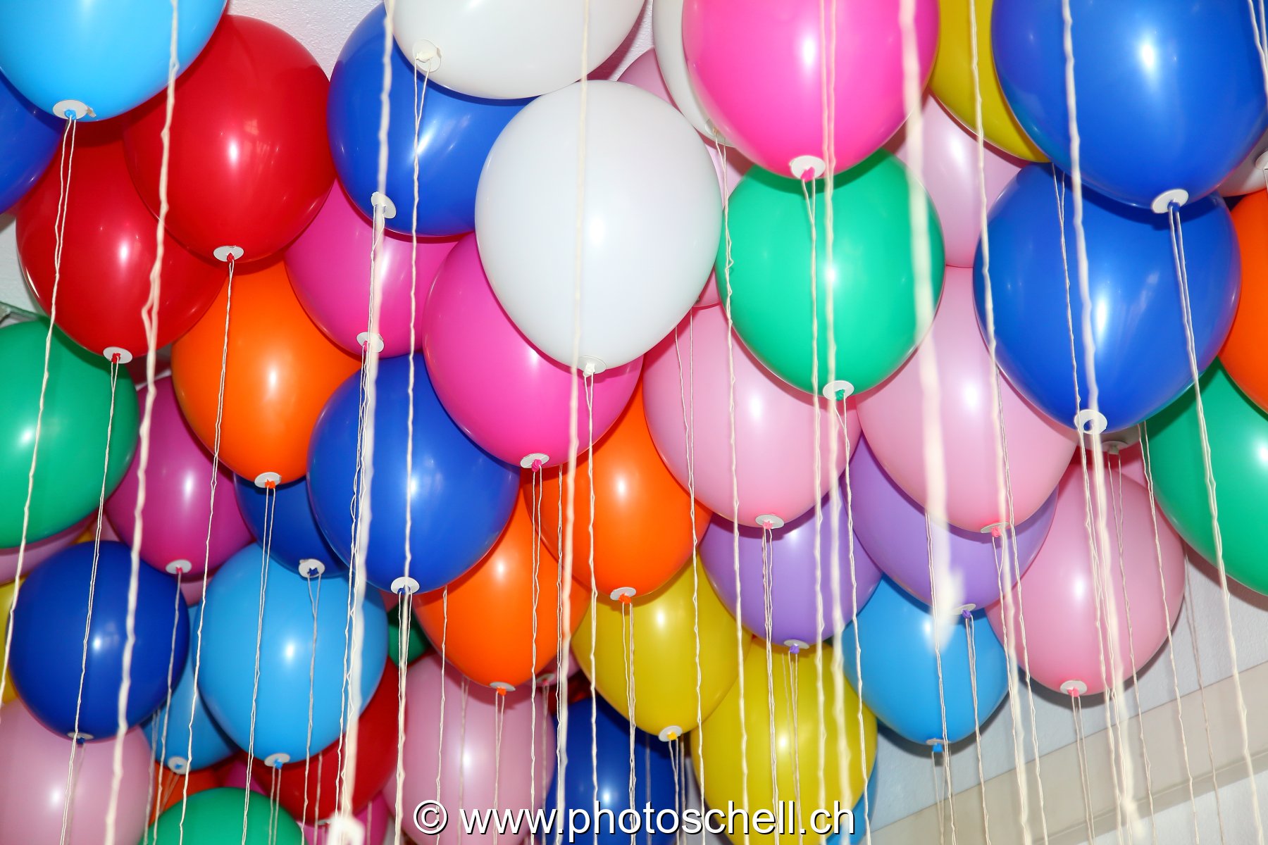 Ballons avant leur lâcher