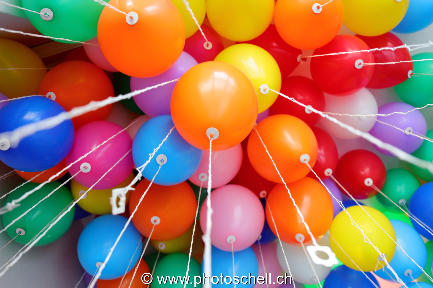 Ballons avant leur lâcher