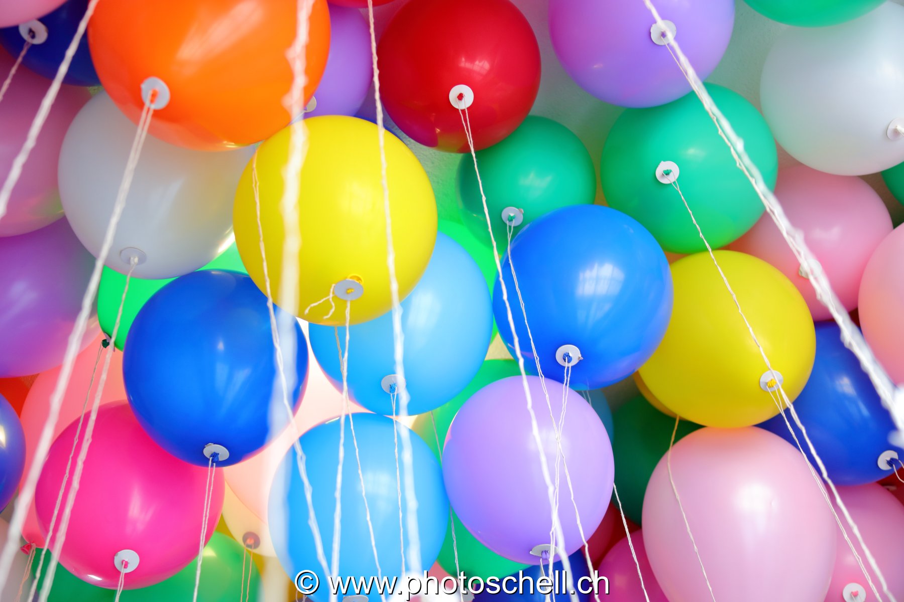 Ballons avant leur lâcher