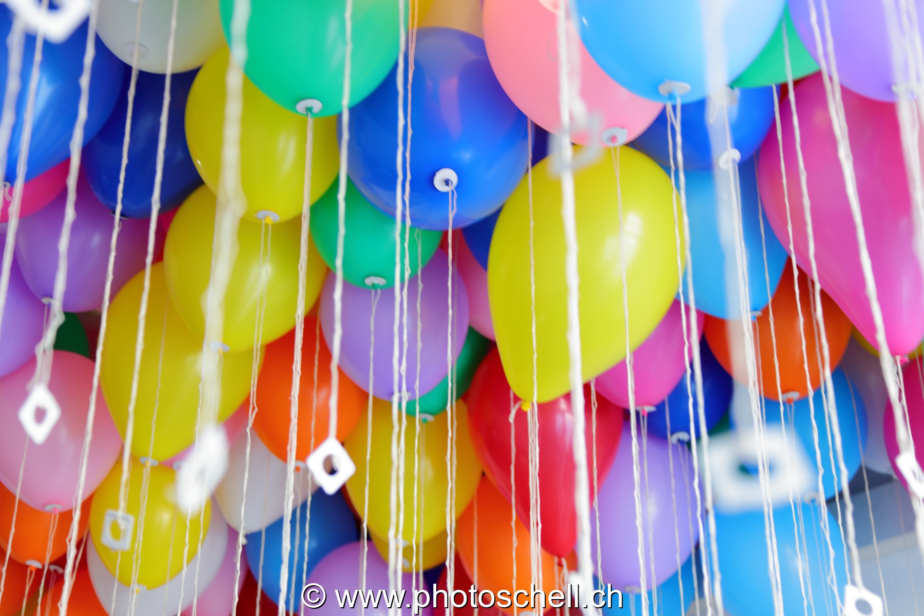 Ballons avant leur lâcher