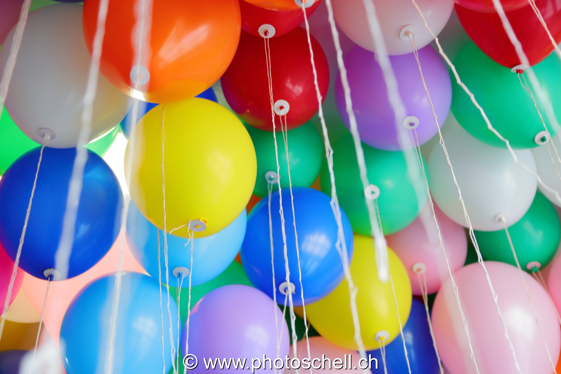 Ballons avant leur lâcher