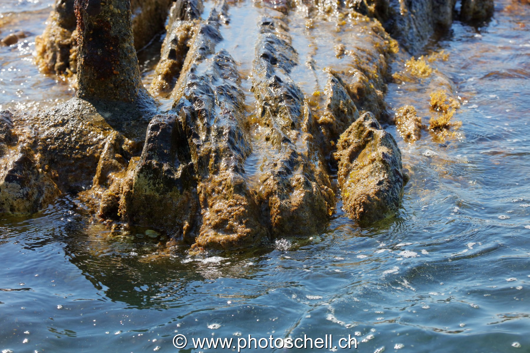 Bord de mer