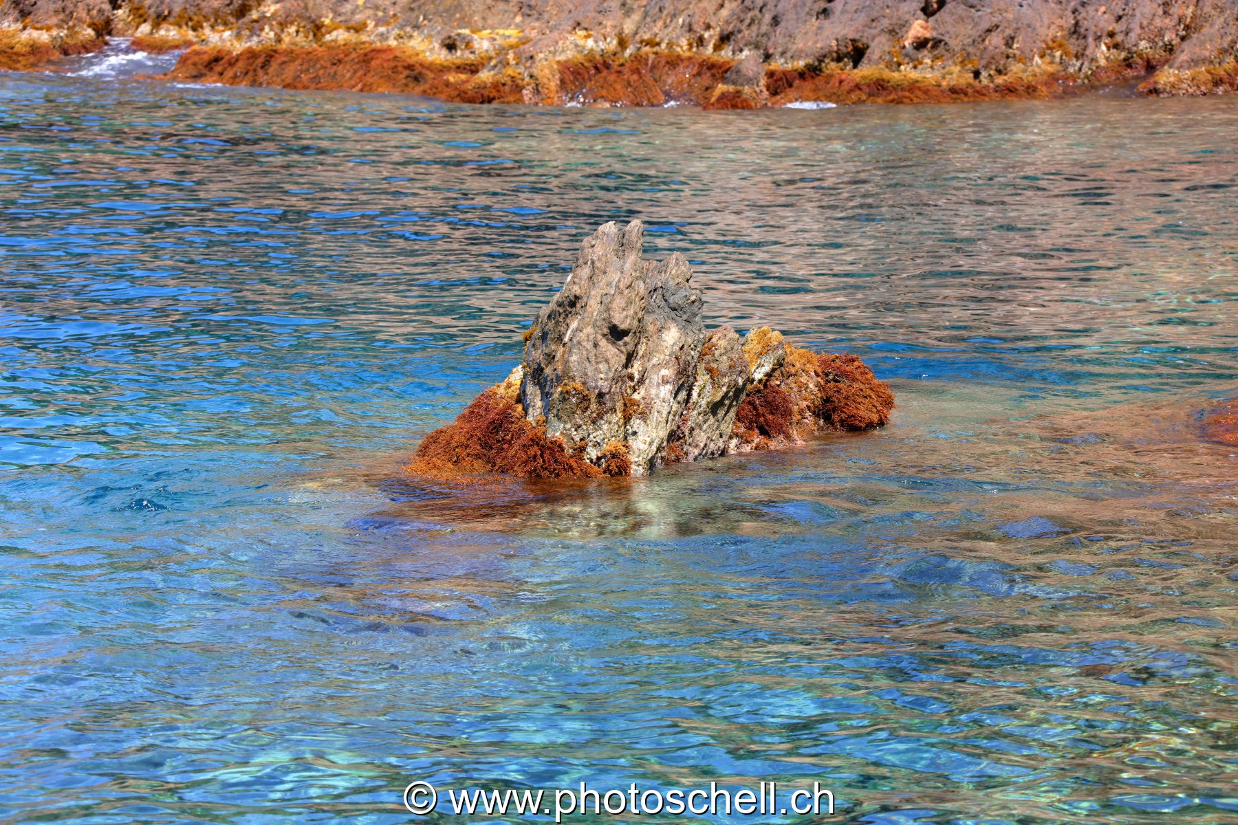 Rocher affleurent l'eau