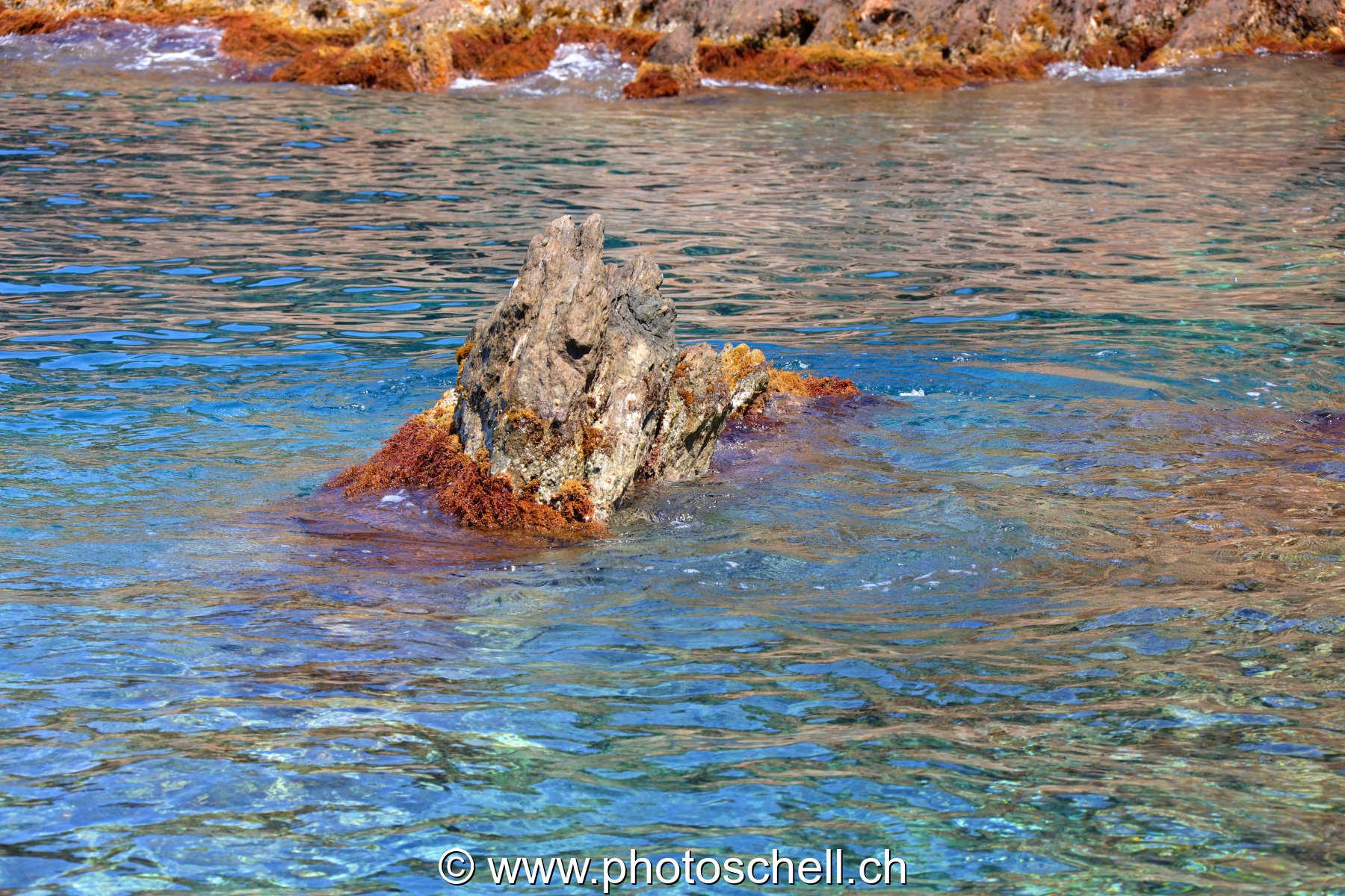Rocher affleurent l'eau