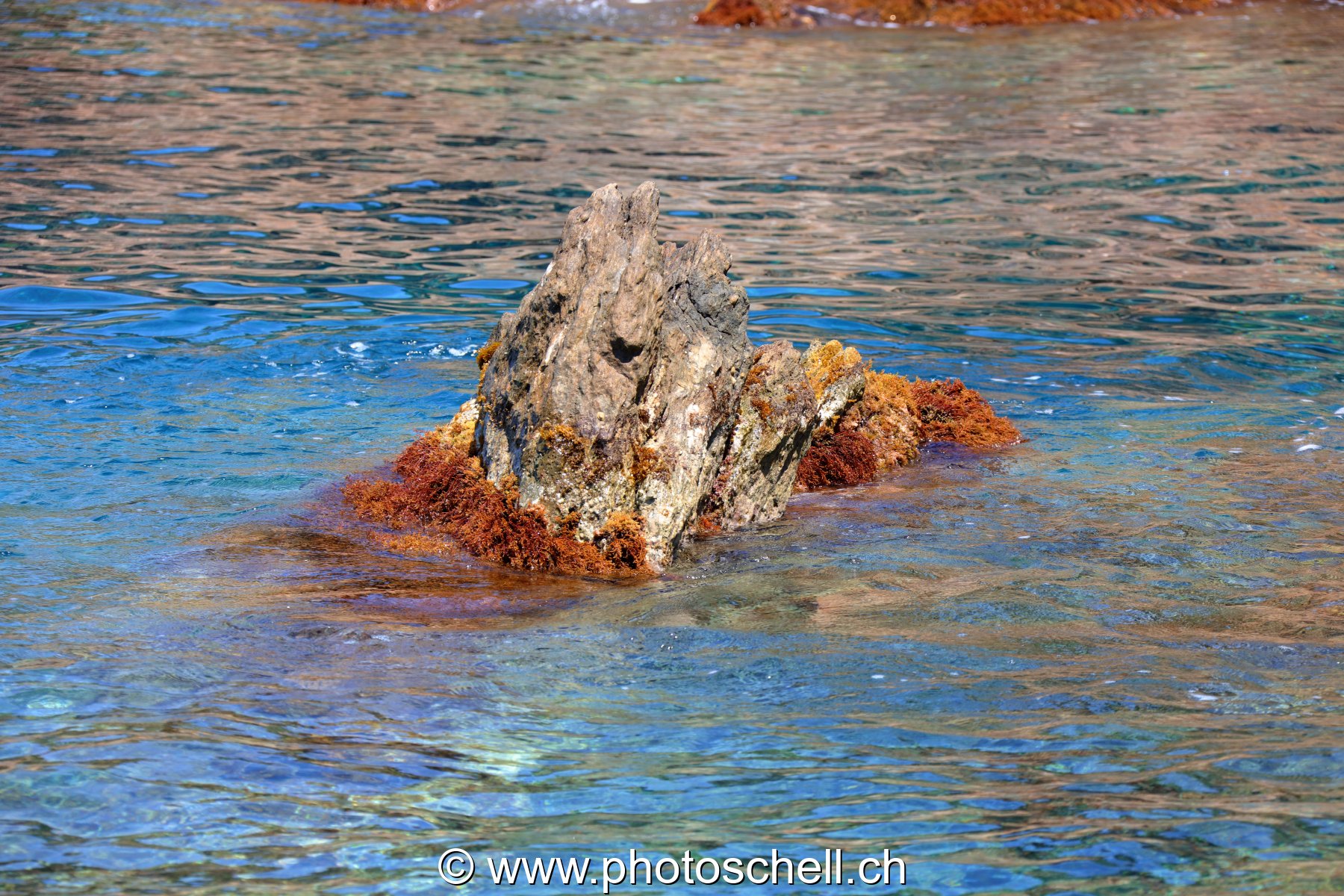 Rocher affleurent l'eau