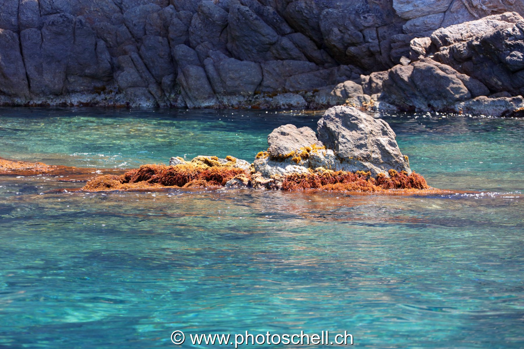 Rocher affleurent l'eau