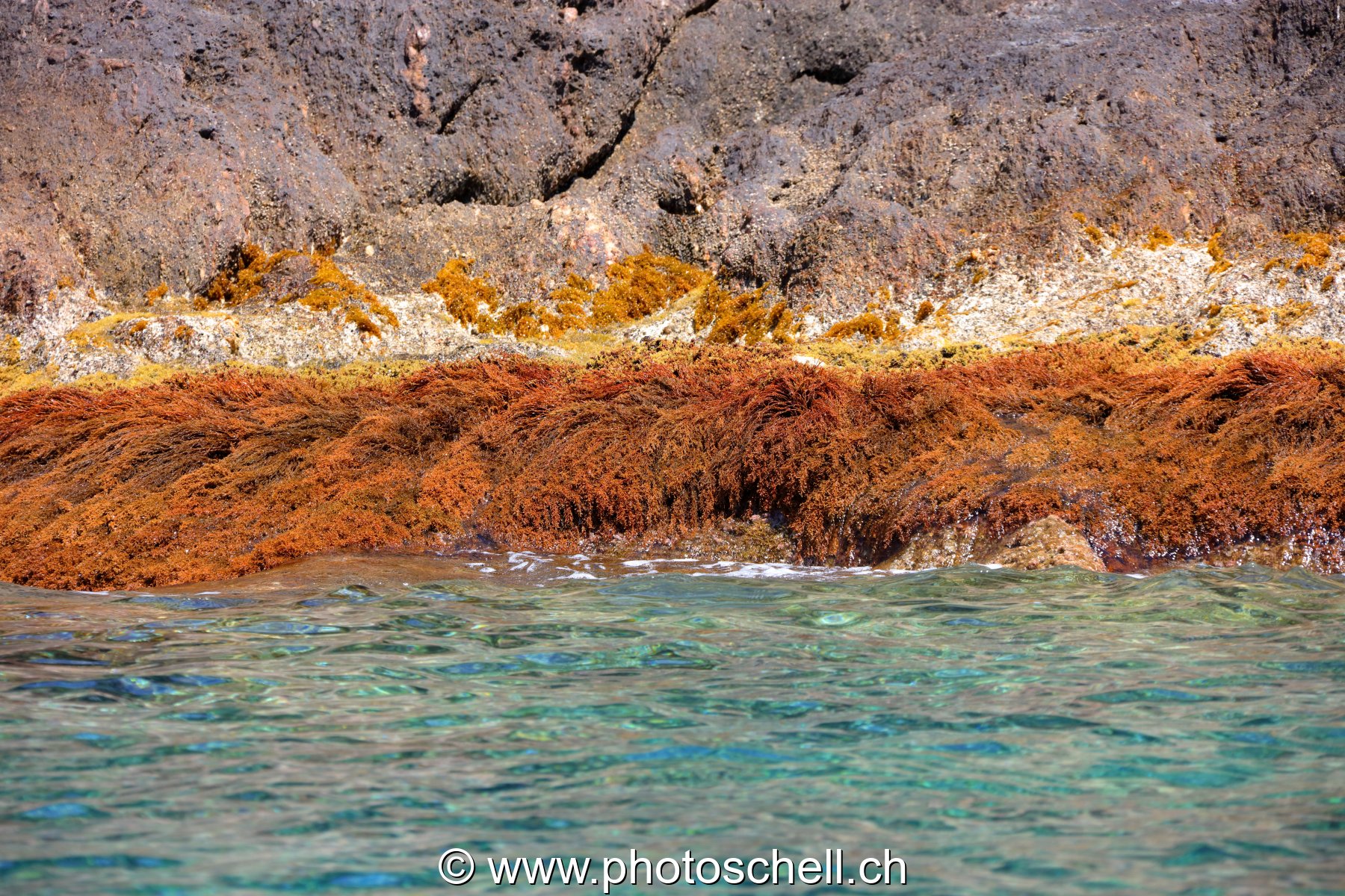 Rochers affleurent l'eau