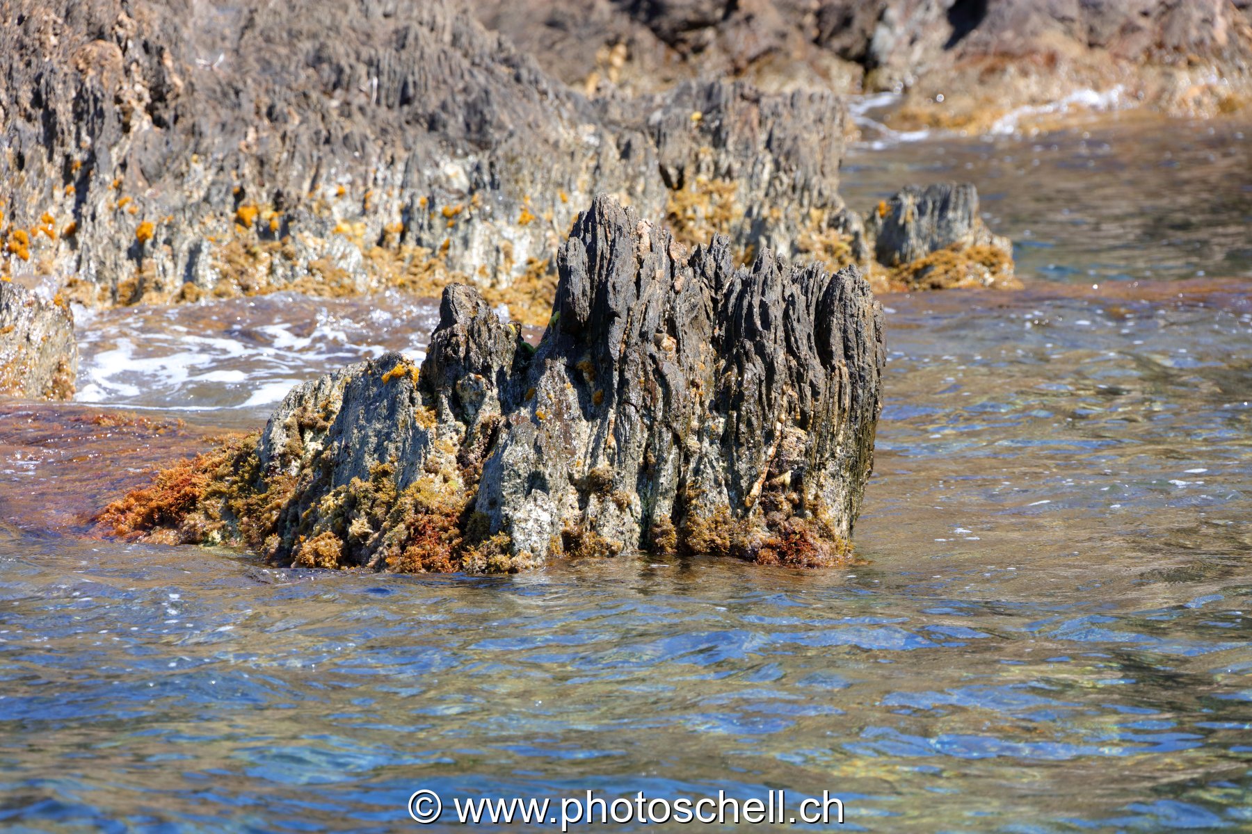 Vagues sur les rochers