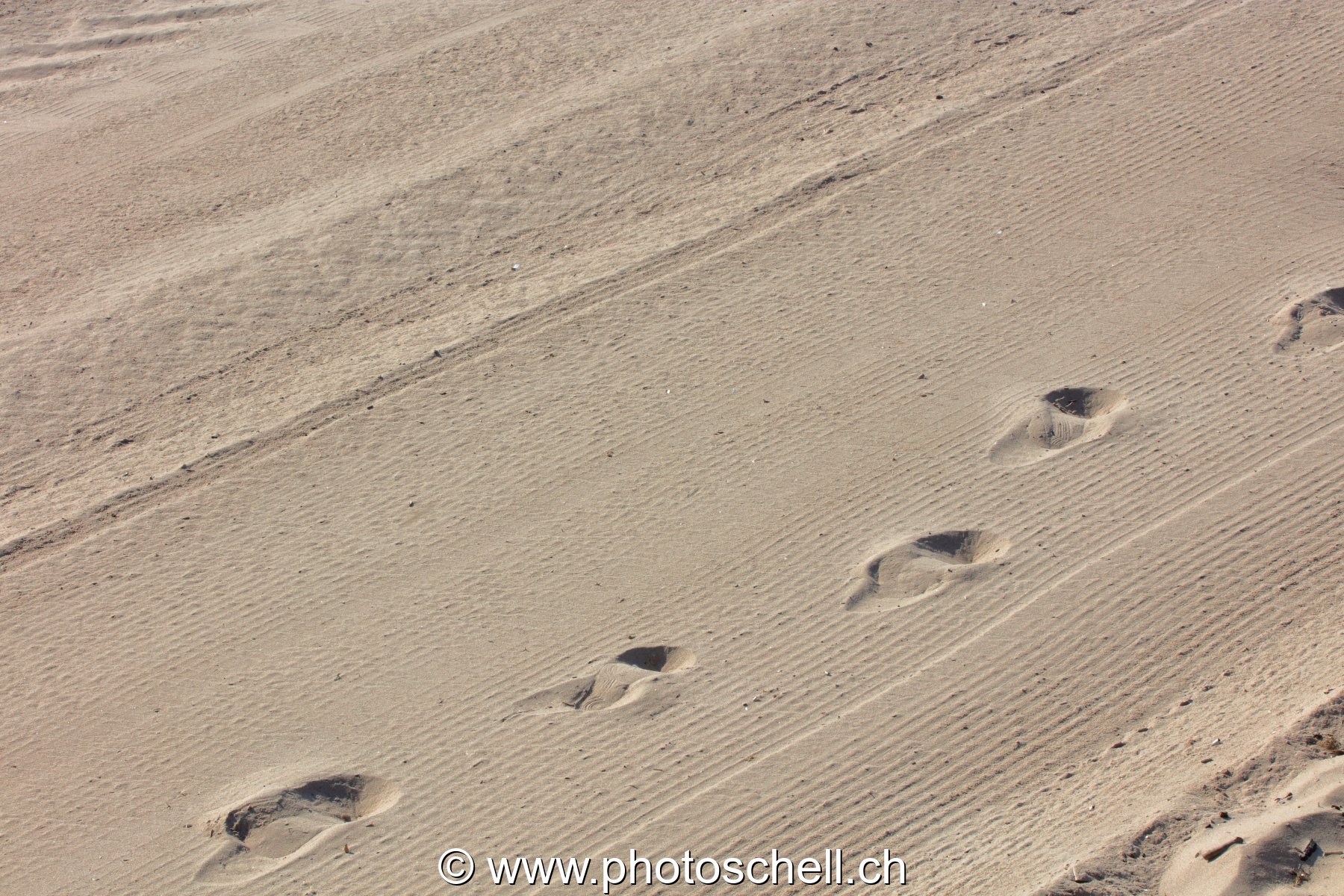 Traces de pas sur la plage