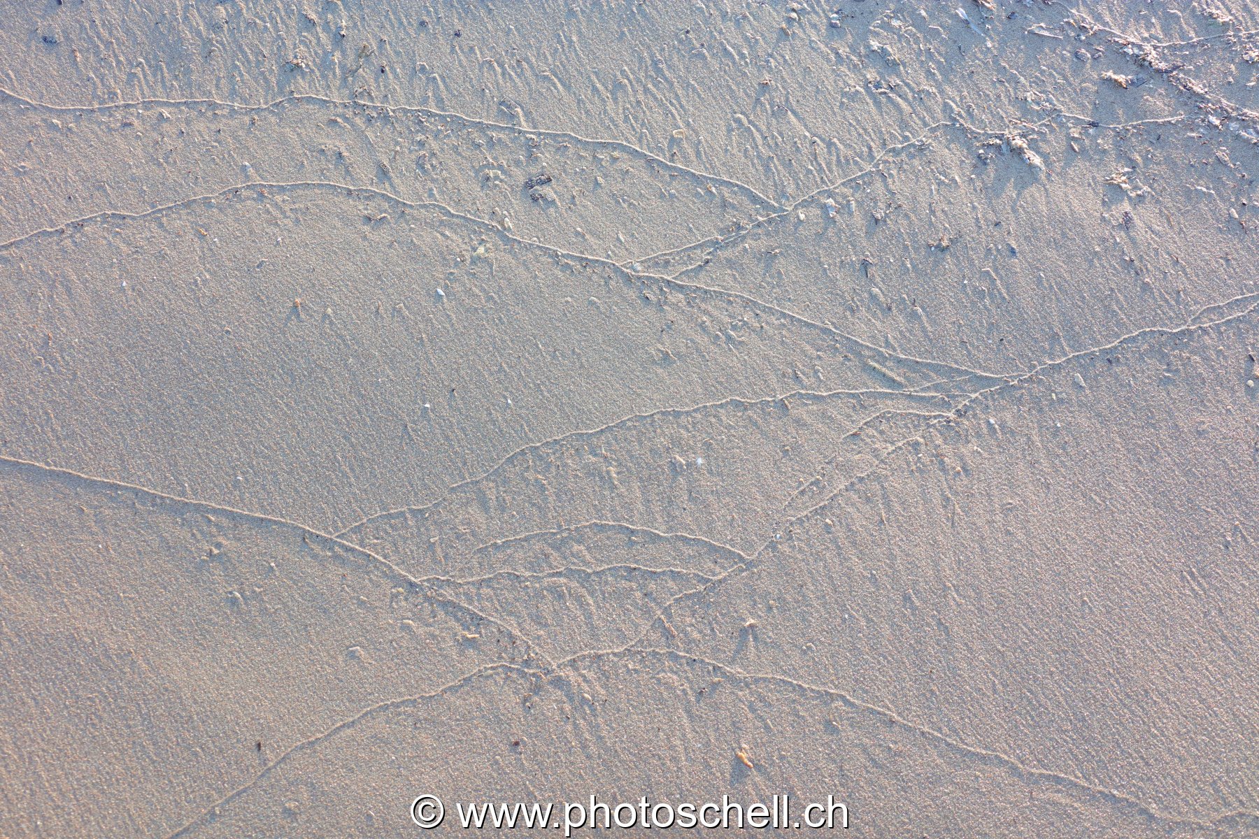 Traces du reflux de l'eau de mer