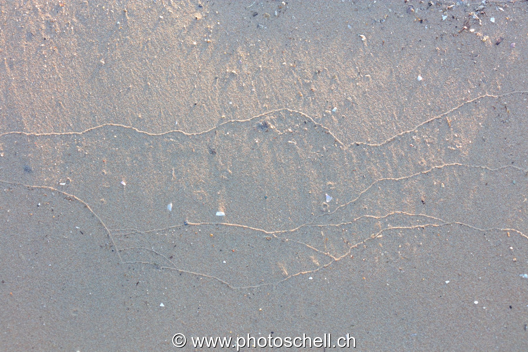 Traces du reflux de l'eau de mer