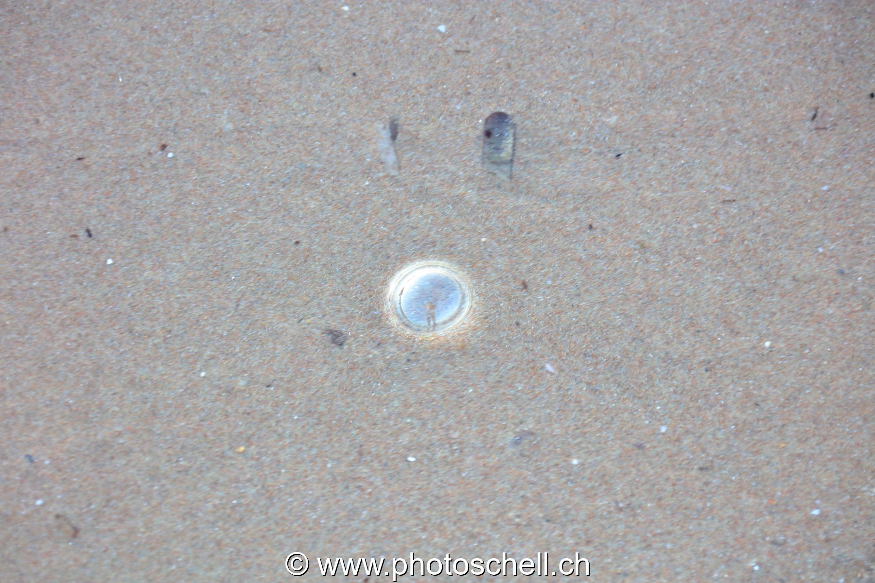 Bulle d'air sur la plage