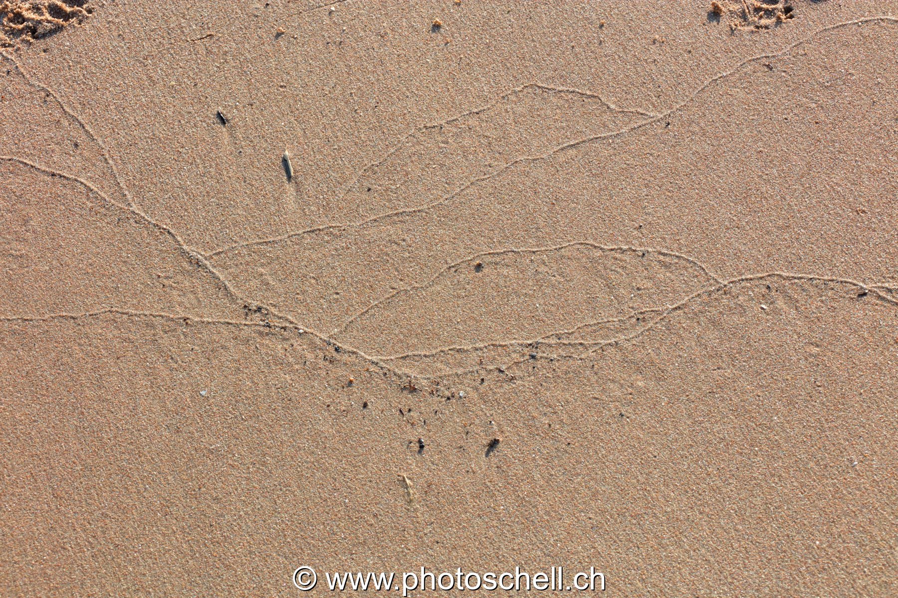 Traces du reflux de l'eau de mer