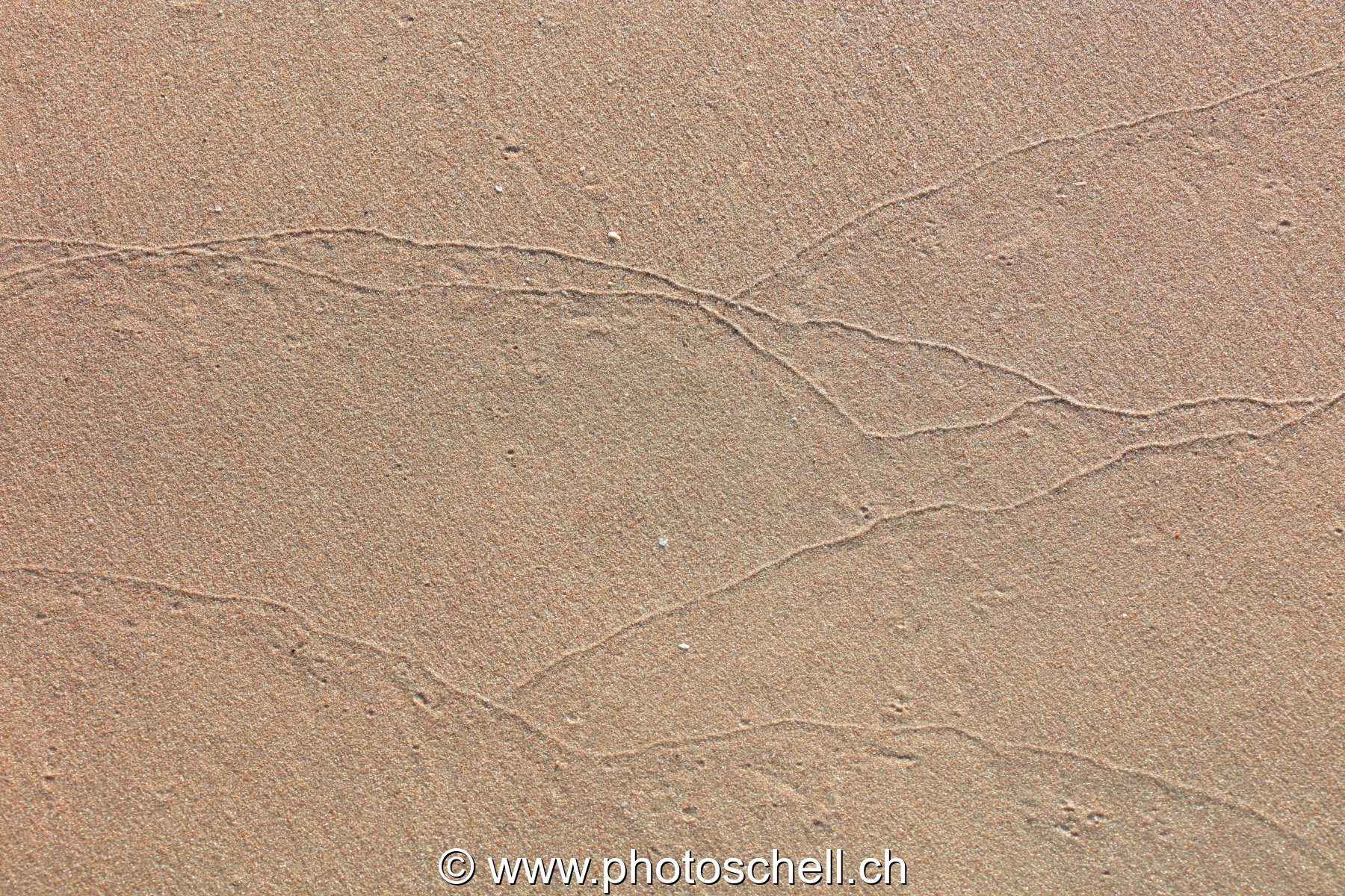 Traces du reflux de l'eau de mer