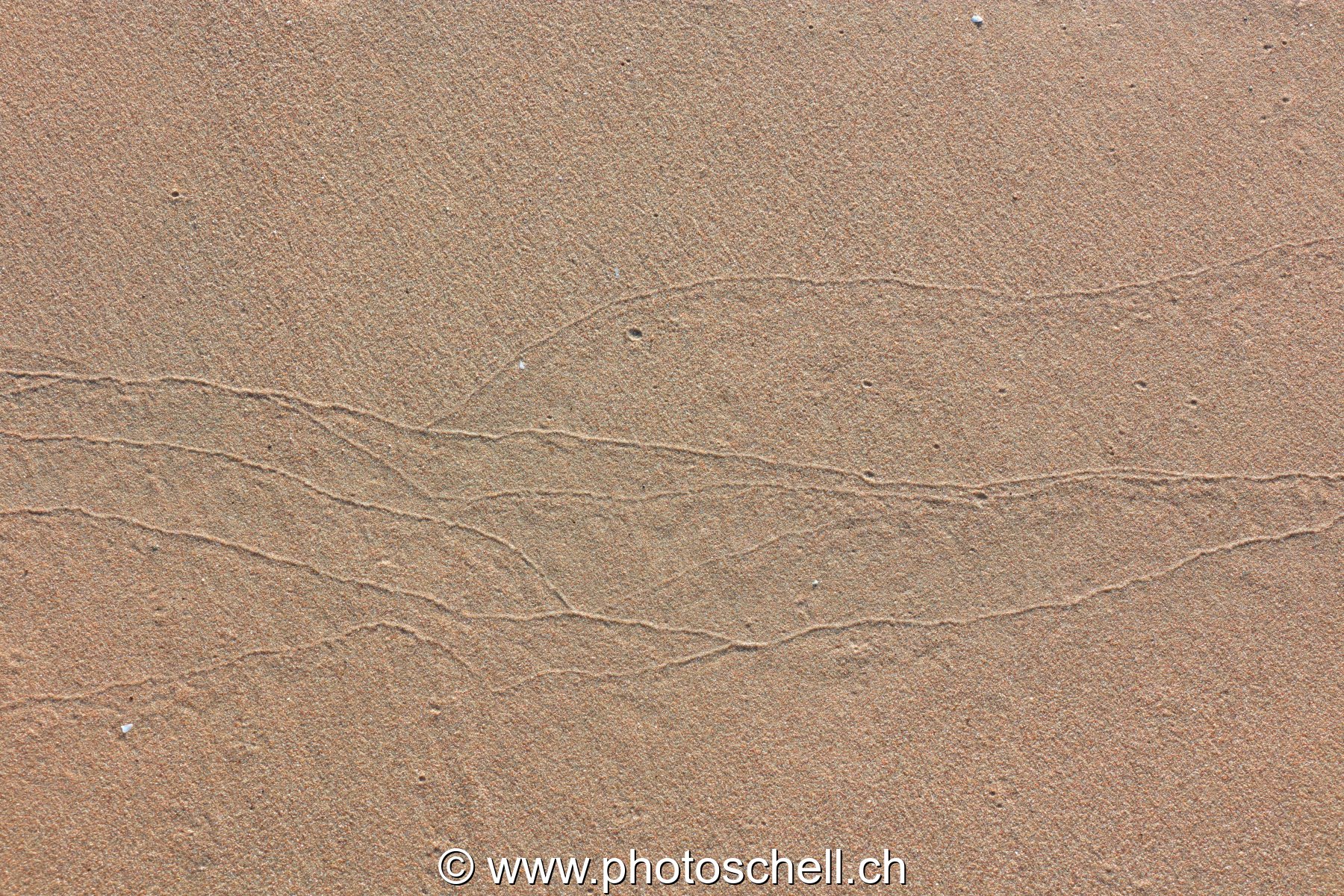 Traces du reflux de l'eau de mer