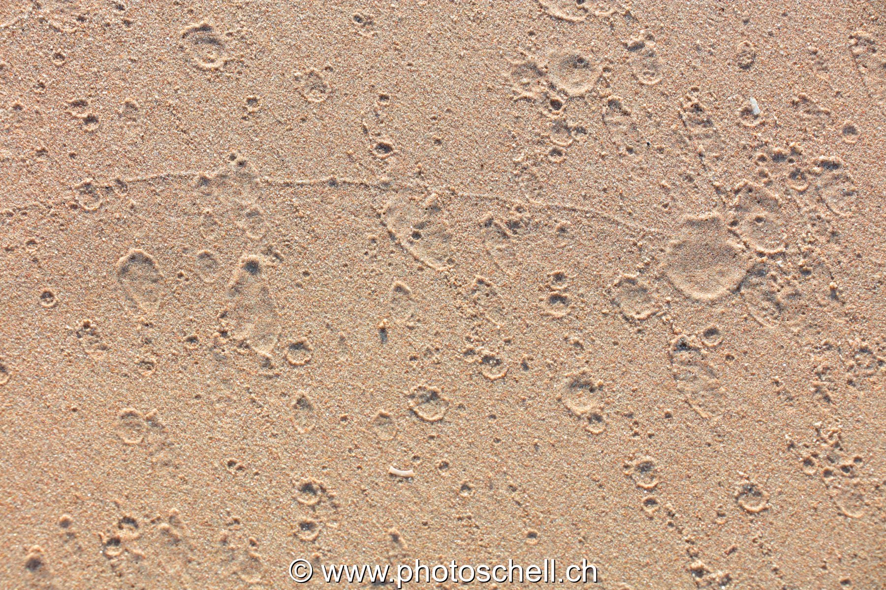 Traces du reflux de l'eau de mer et gouttes d'eau
