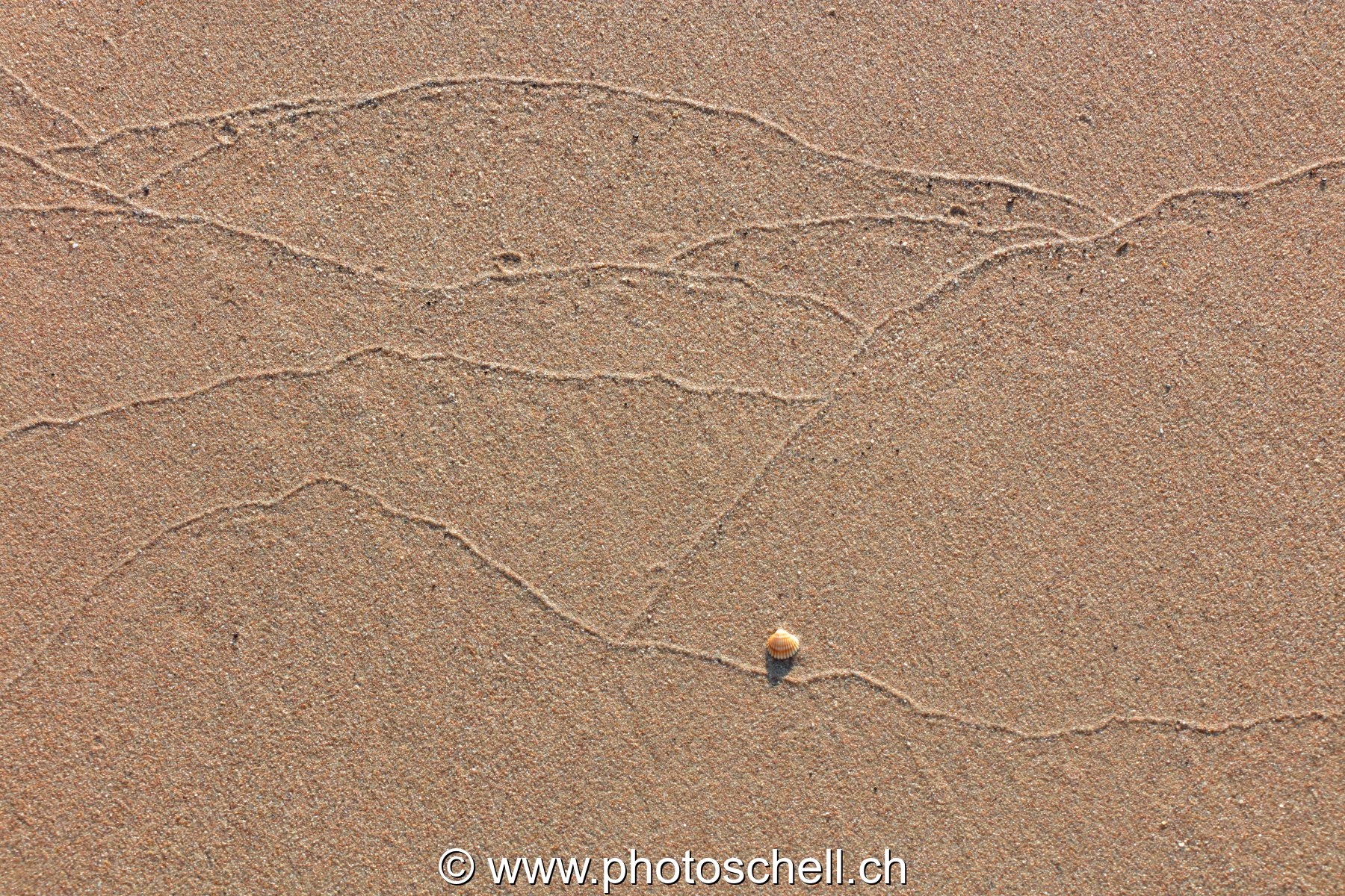 Traces du reflux de l'eau de mer