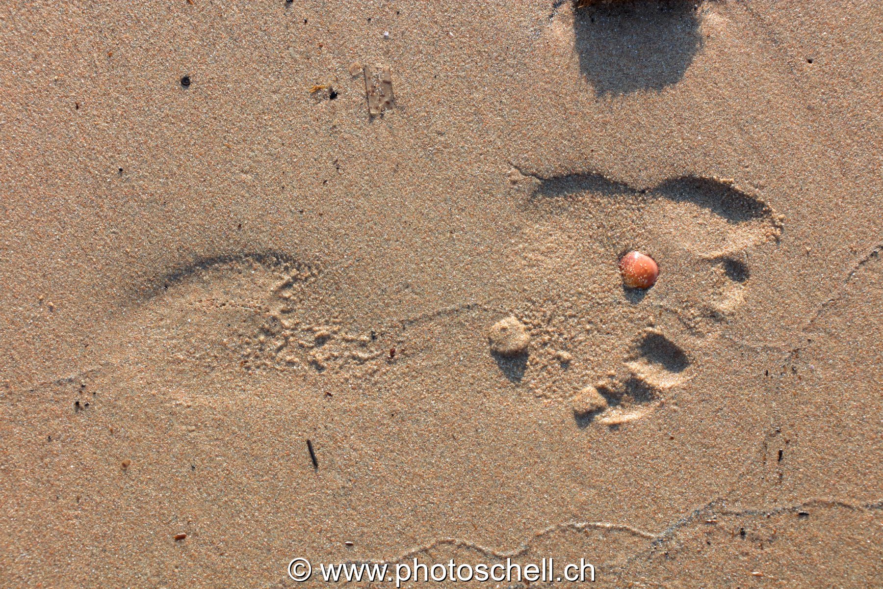 Trace de pas sur le sable