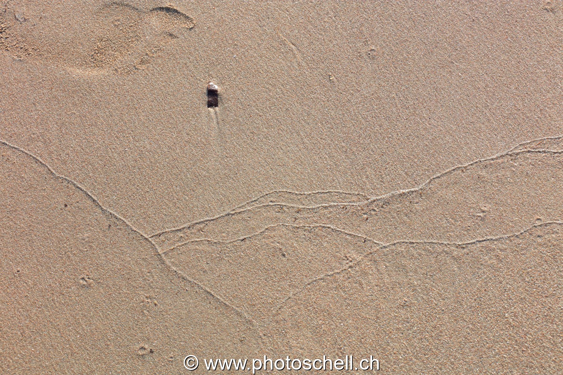 Traces du reflux de l'eau de mer