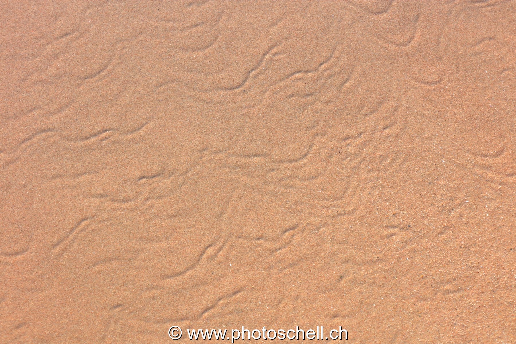 Traces du reflux de l'eau de mer