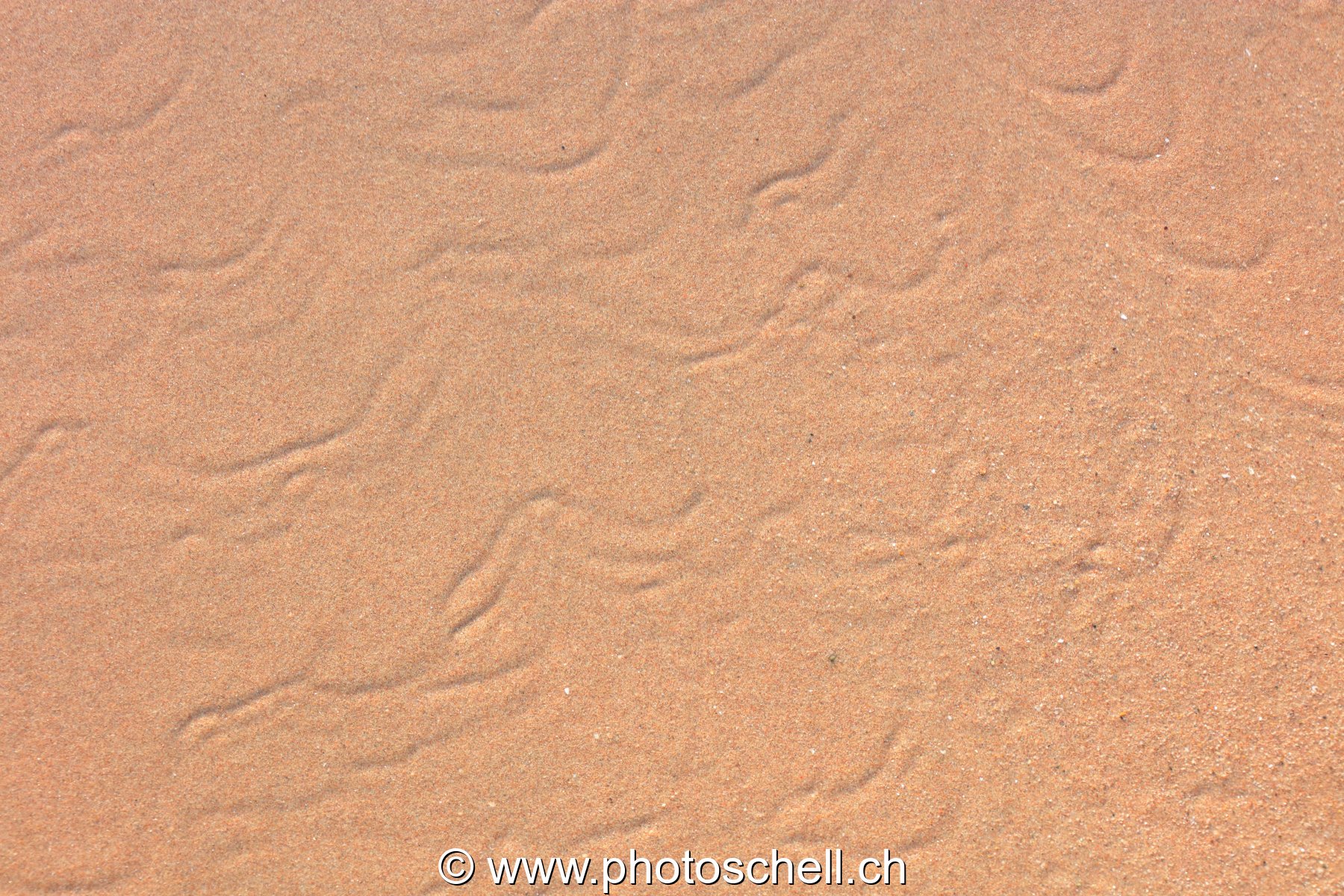 Traces du reflux de l'eau de mer
