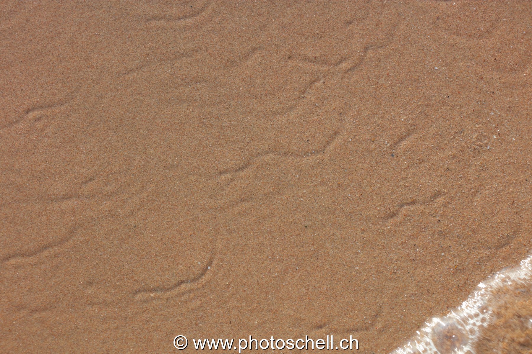 Traces du reflux de l'eau de mer