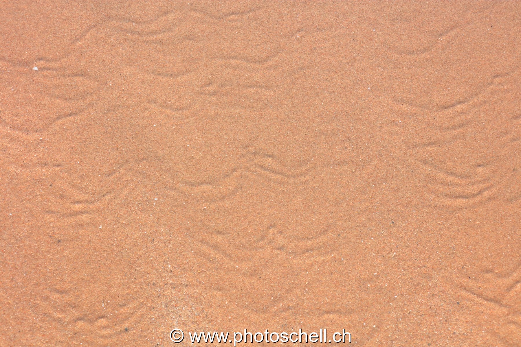 Traces du reflux de l'eau de mer