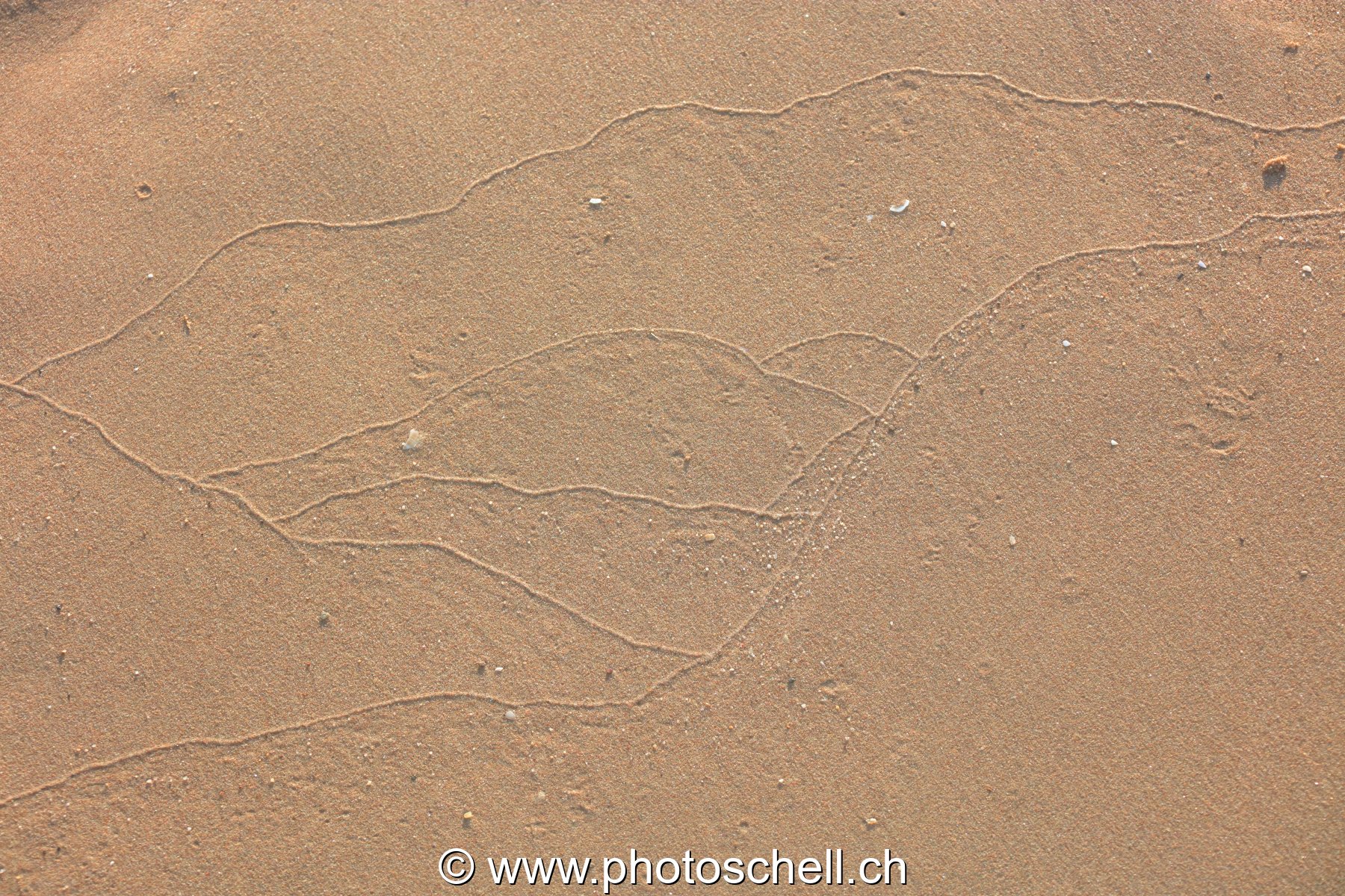 Traces du reflux de l'eau de mer