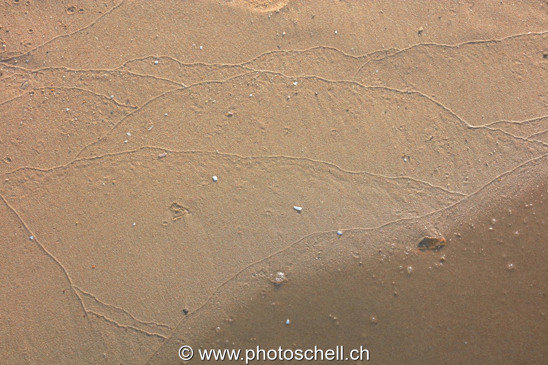 Traces du reflux de l'eau de mer