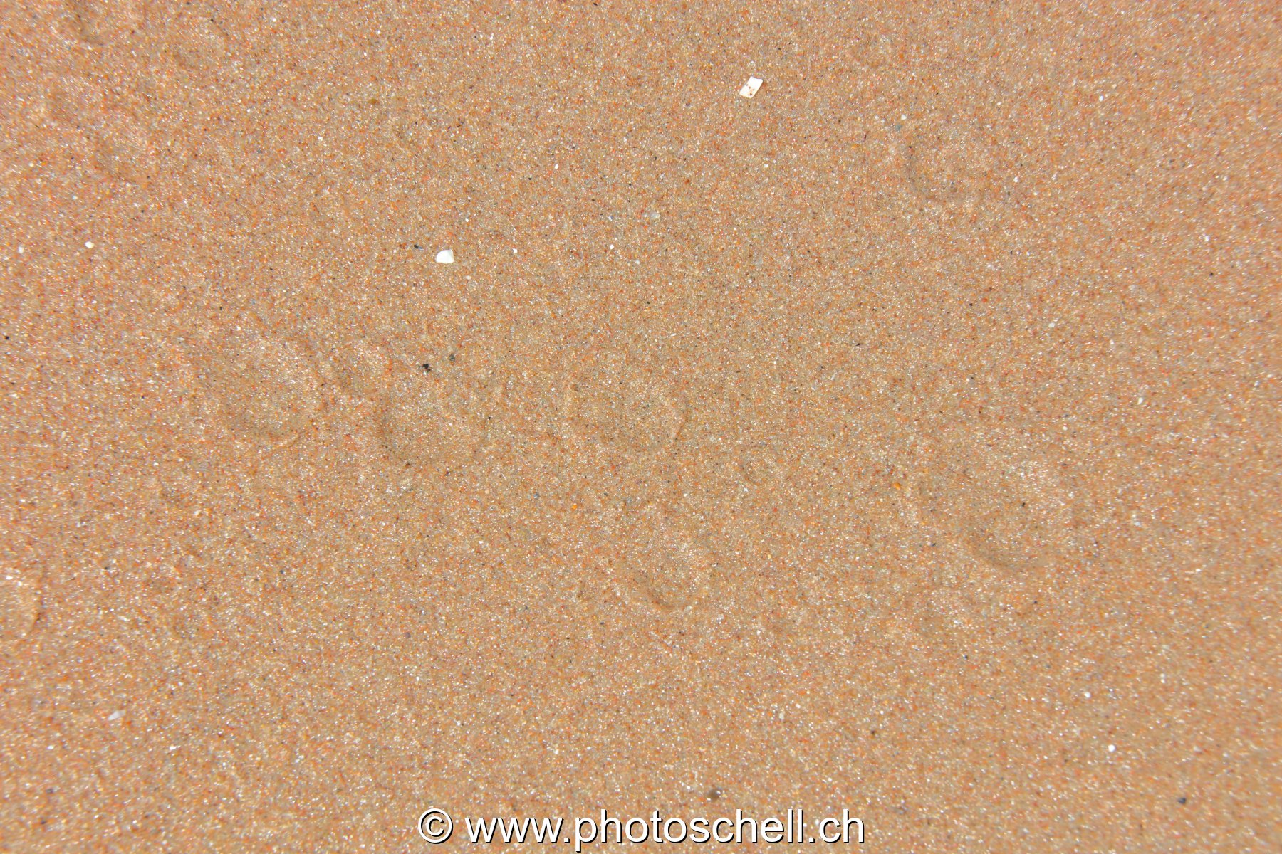Détails du sable
