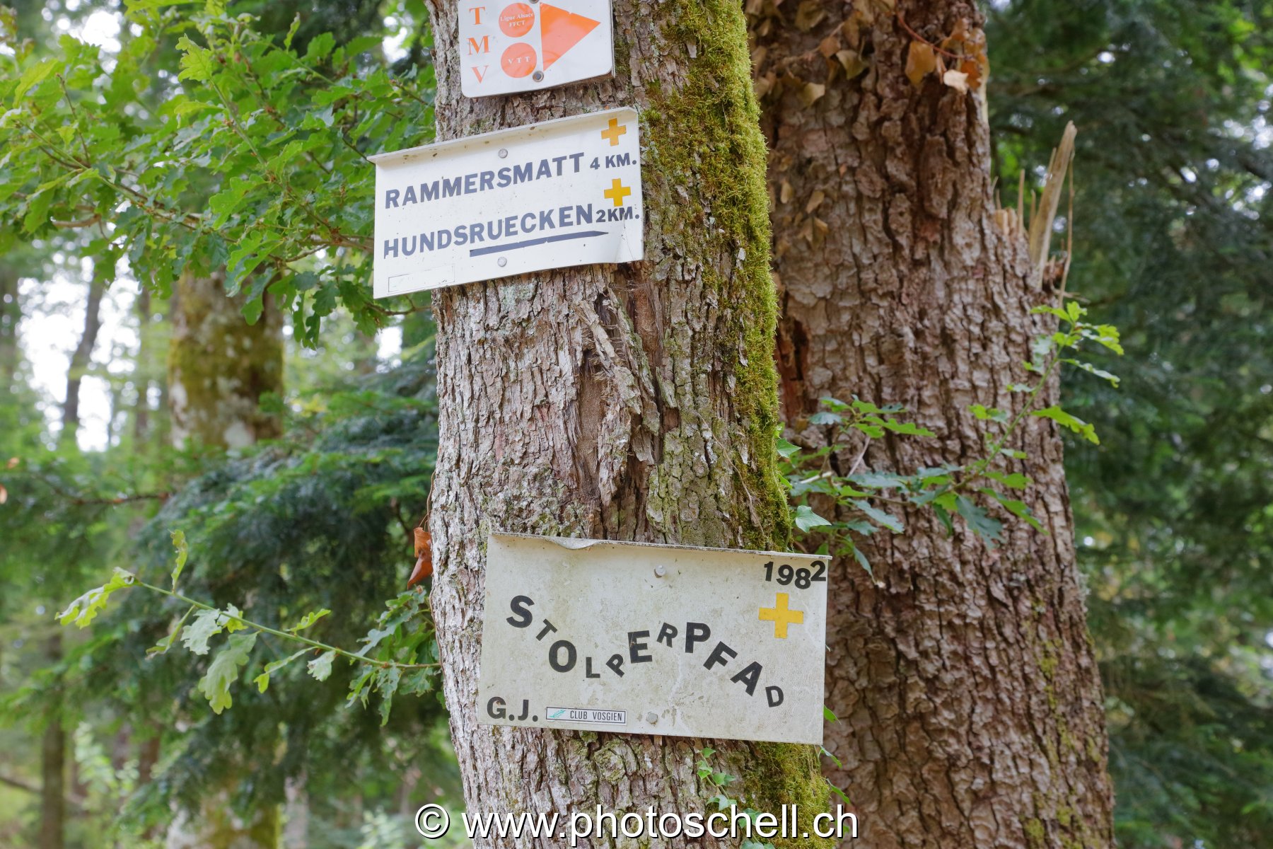 Sentier dangereux (en alsacien)