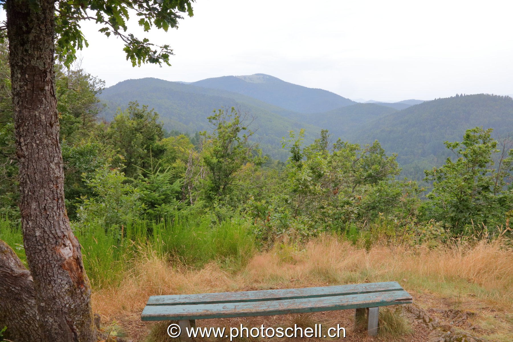 Vue Zueber et son banc
