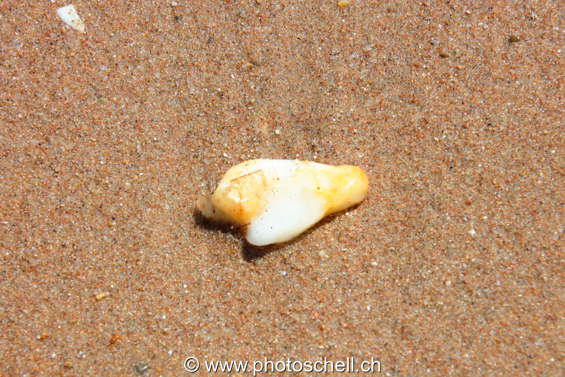 Pierre sur le sable