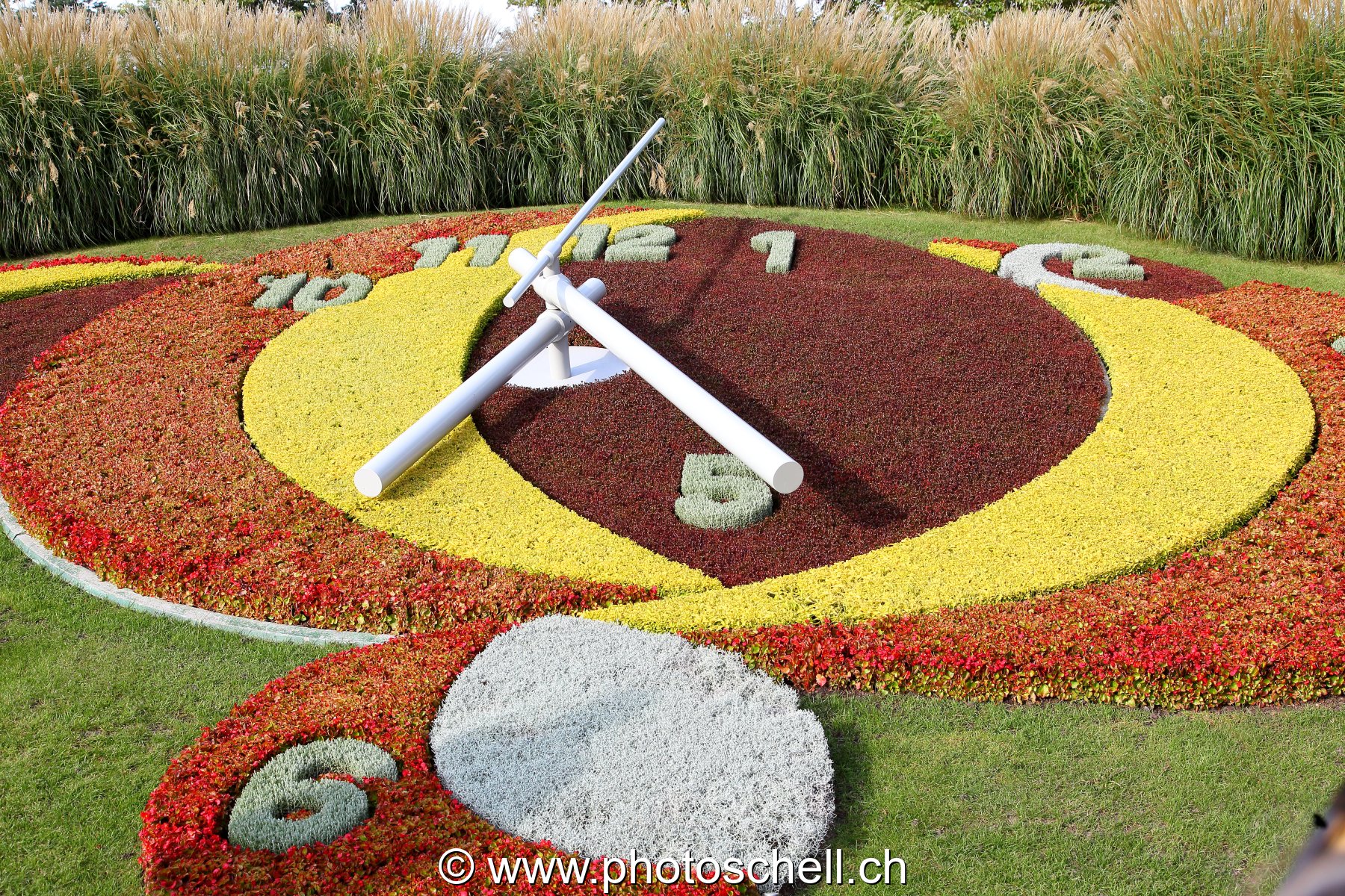 Horloge en fleurs