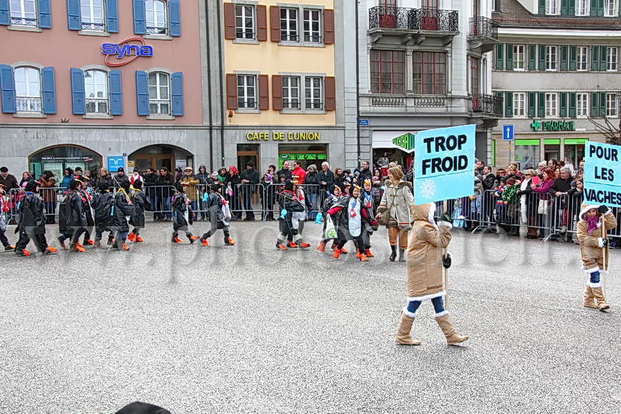 Trop froid pour les vaches