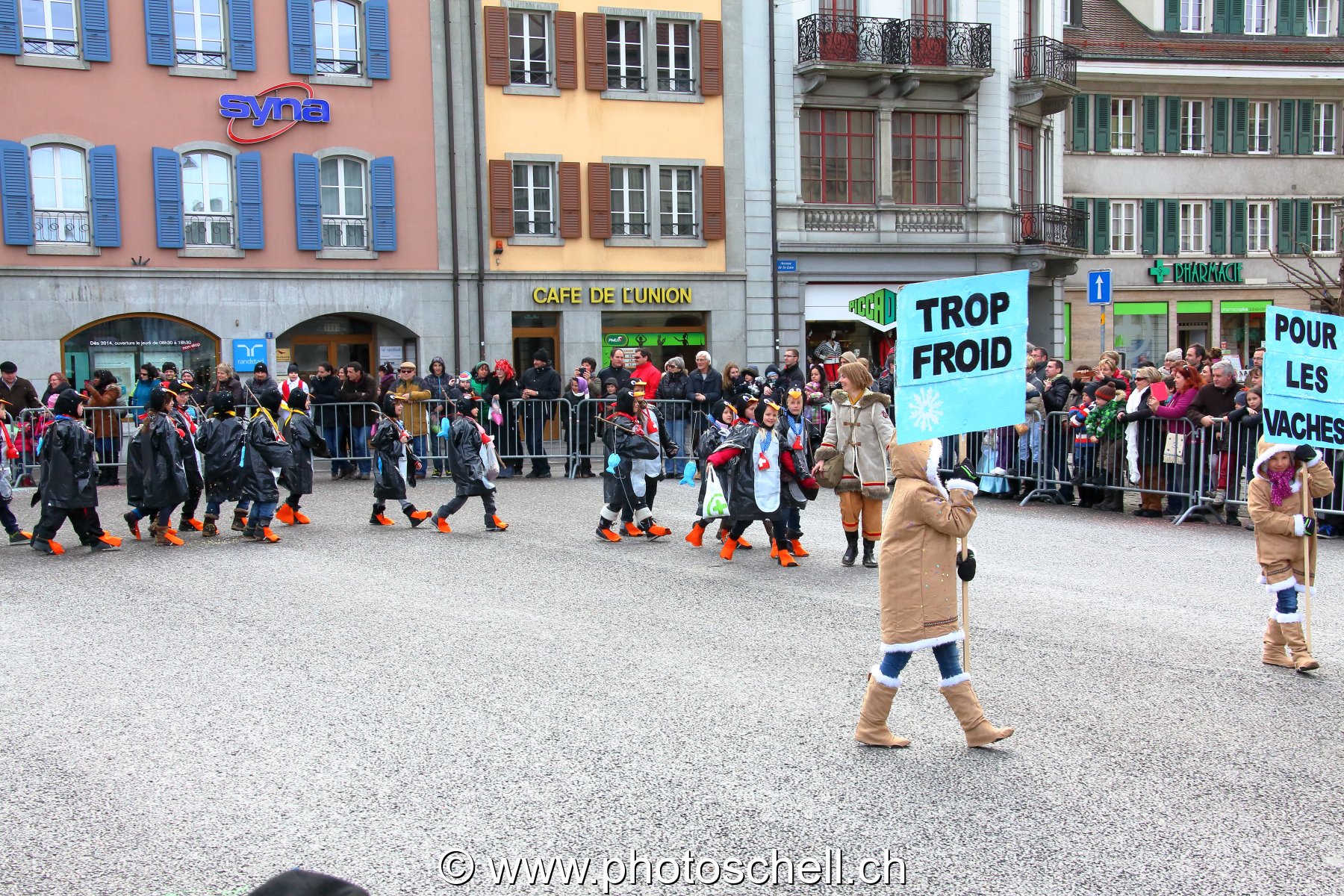 Trop froid pour les vaches