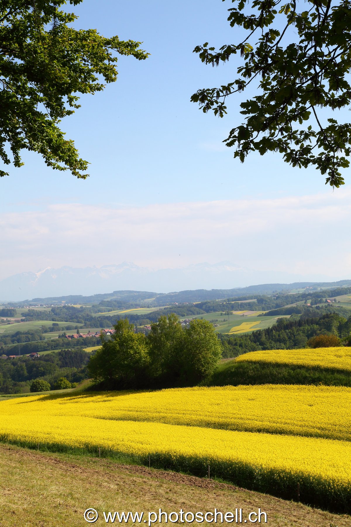 Paysage