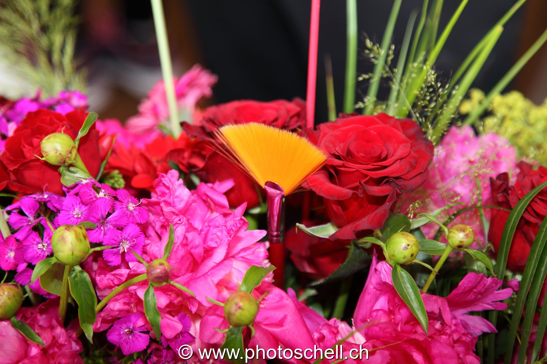 Fleurs